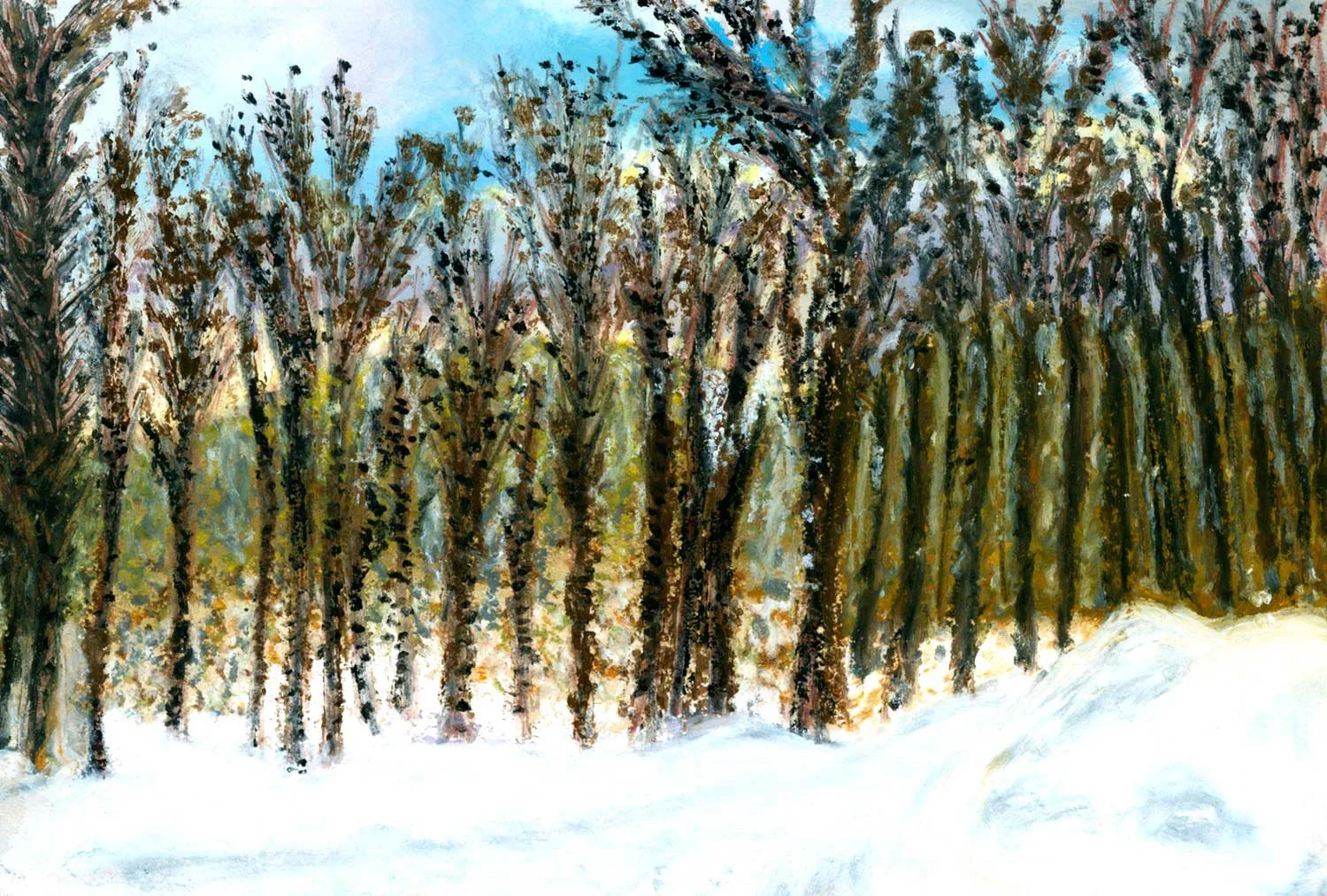forest_clare-jones-paris.jpg