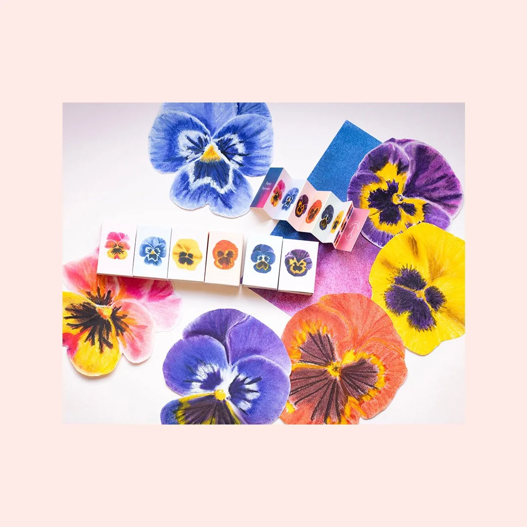 Pansy Mini Concertina Book