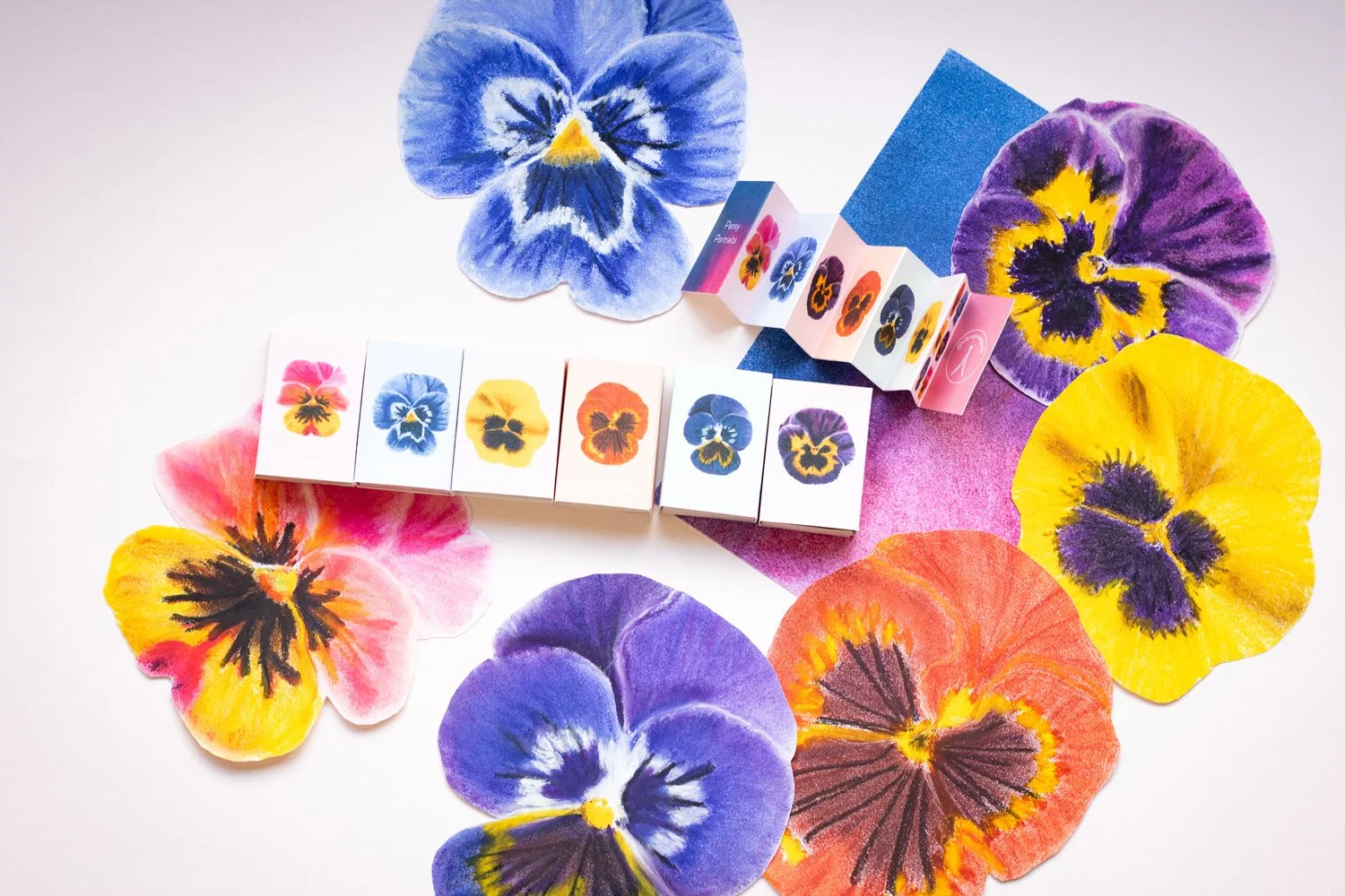 Pansy_portraits_postcards_concertina_book.jpg