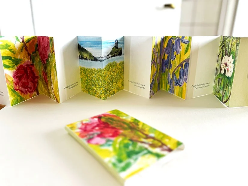 Concertina book with camellias, bluebells, Rhossili Bay, rhododendrons painted in watercolour