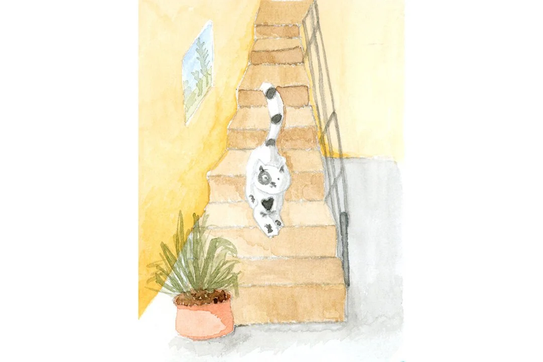 Comedy the cat coming down the stairs.