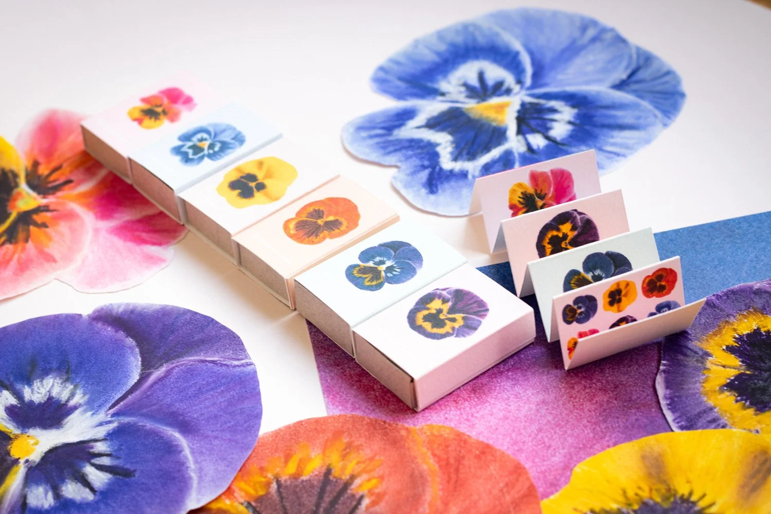 Pansy portraits, flowers illustrated in soft pastels. Collection of pansy portraits postcards and mini concertina book