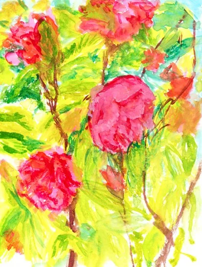 camelias_res_72ppp.jpg