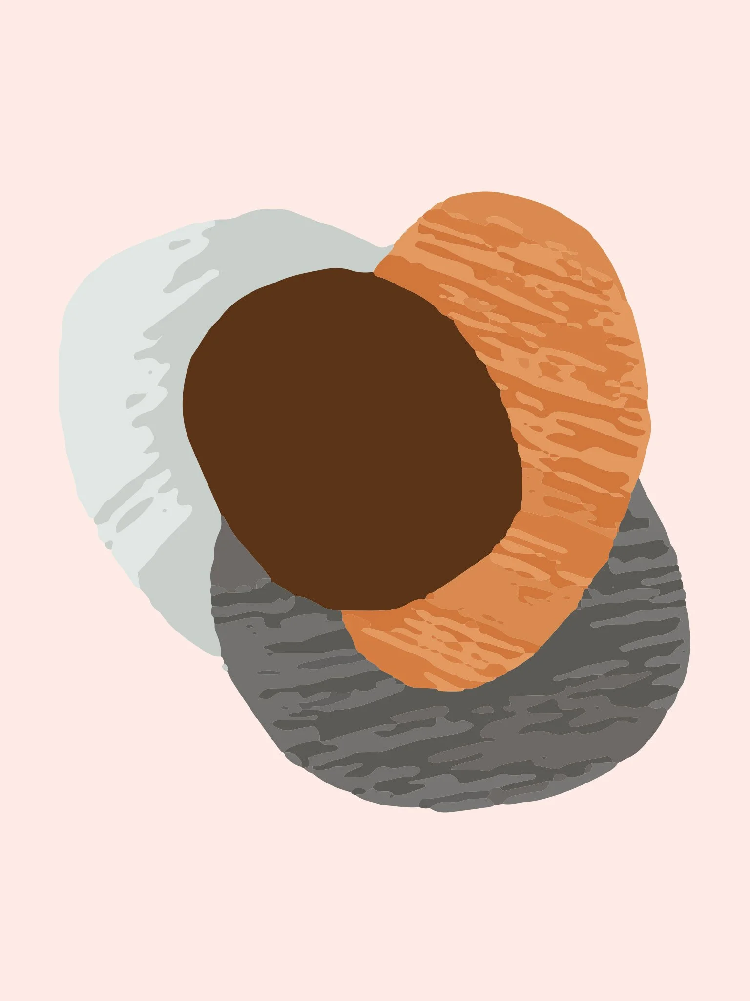 Sycomore Visual Identity