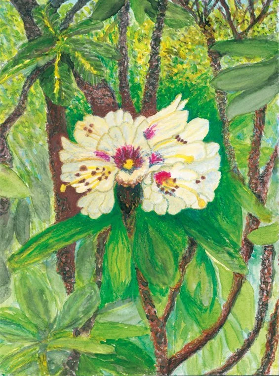 rhododendron_clare_jones_paris.jpg