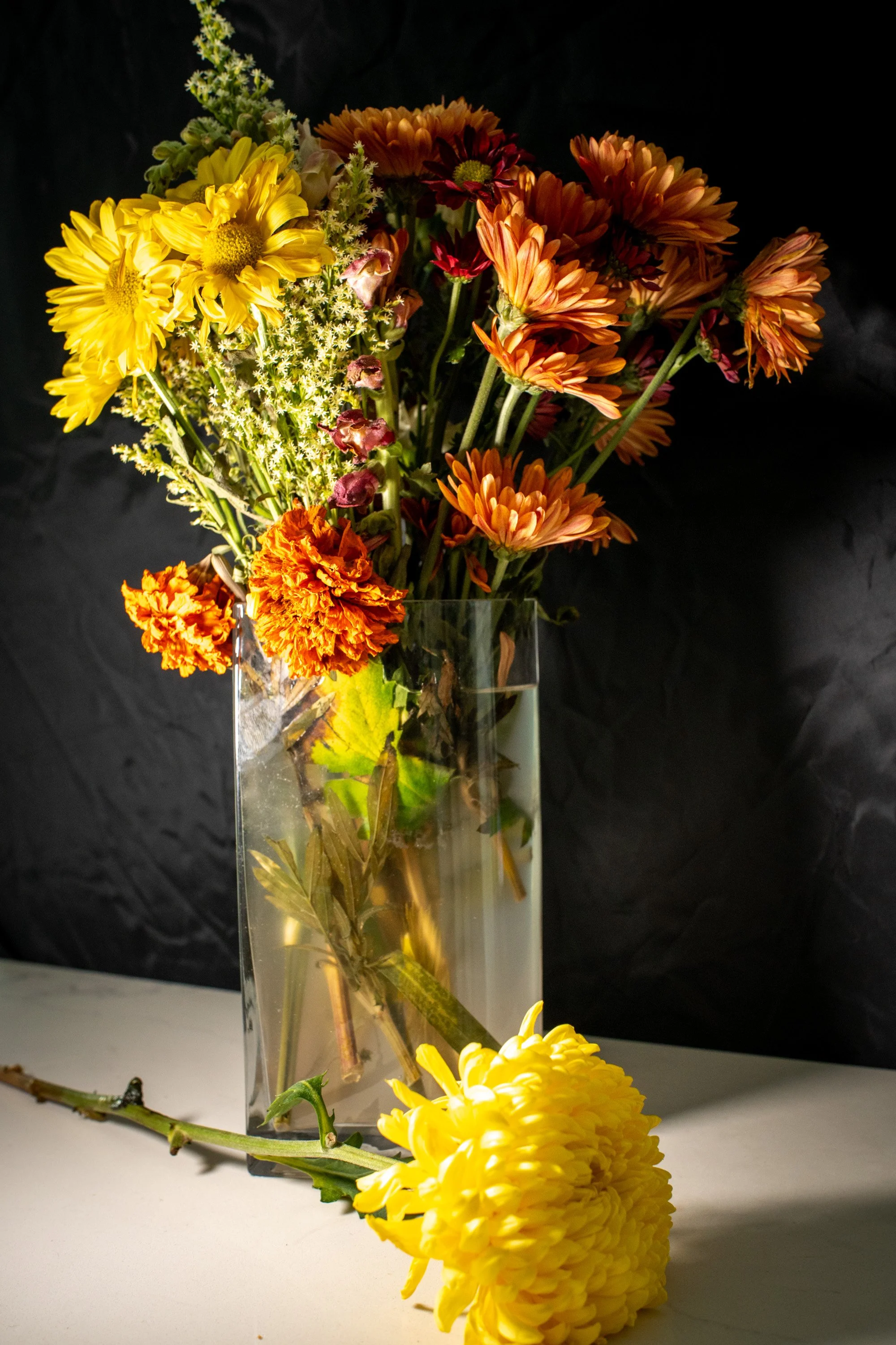 MAVillagranStilllife-3.jpg