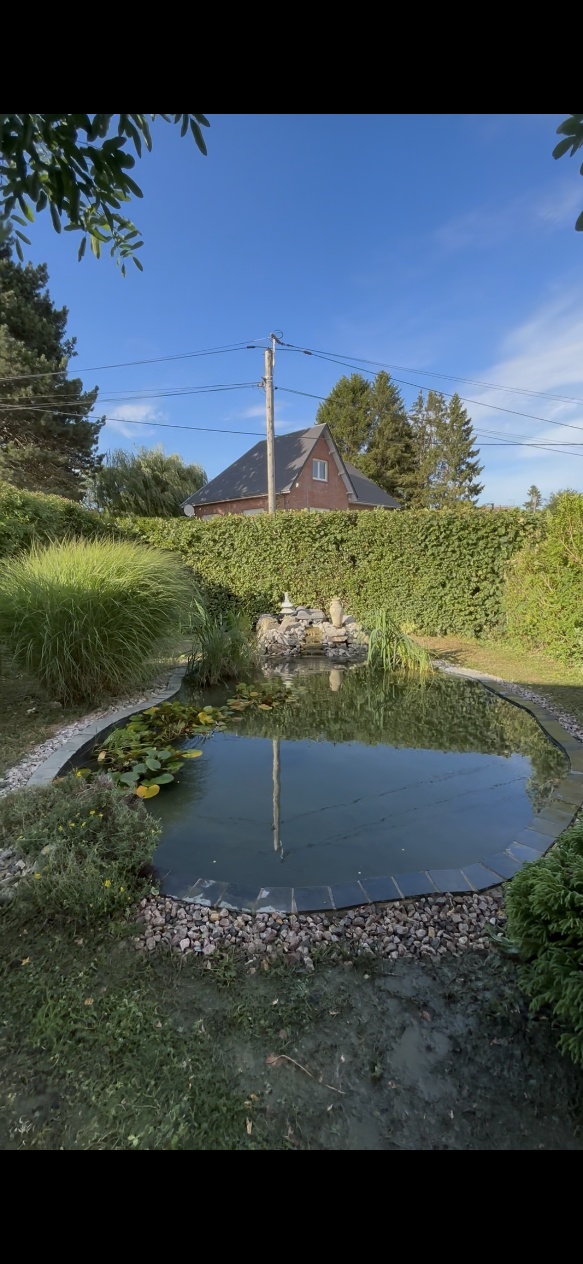 Création et aménagement de bassins de jardin sur mesure, bassins paysagers, bassins à poissons et carpes koï, installation de filtration, pompes, UV, cascades, fontaines, lagunage et plantes aquatiques, rénovation, nettoyage et entretien de bassins, 