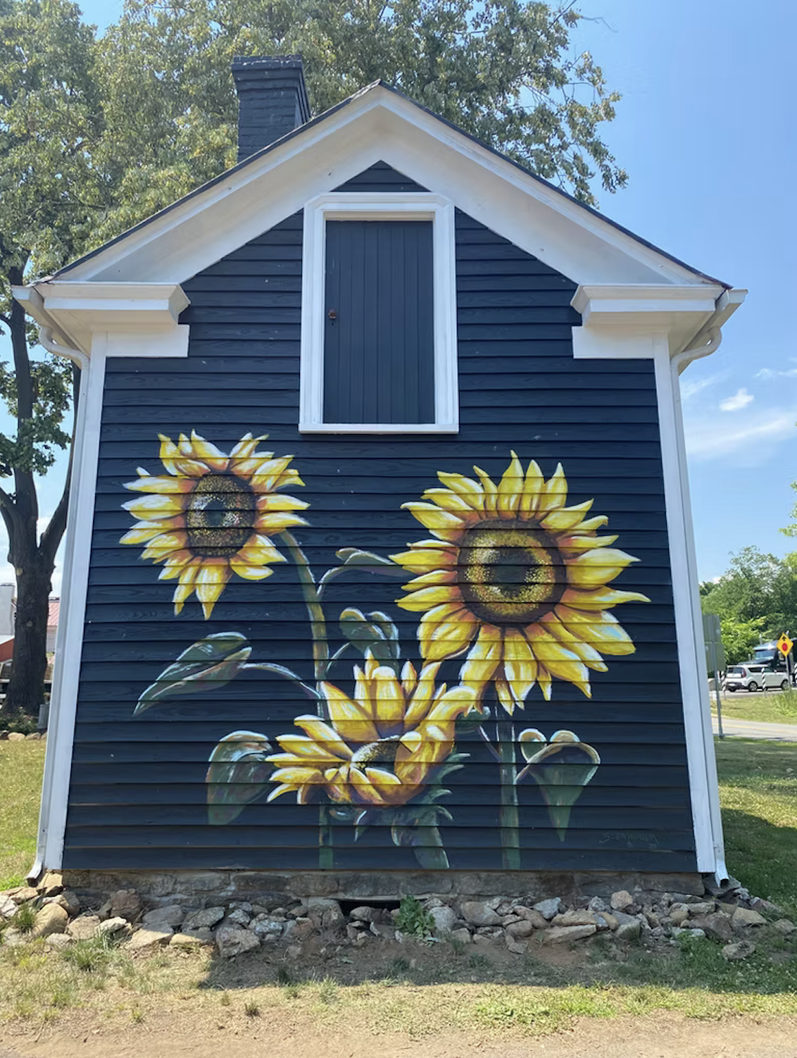 Sunflowers (2024) Sperryville, VA