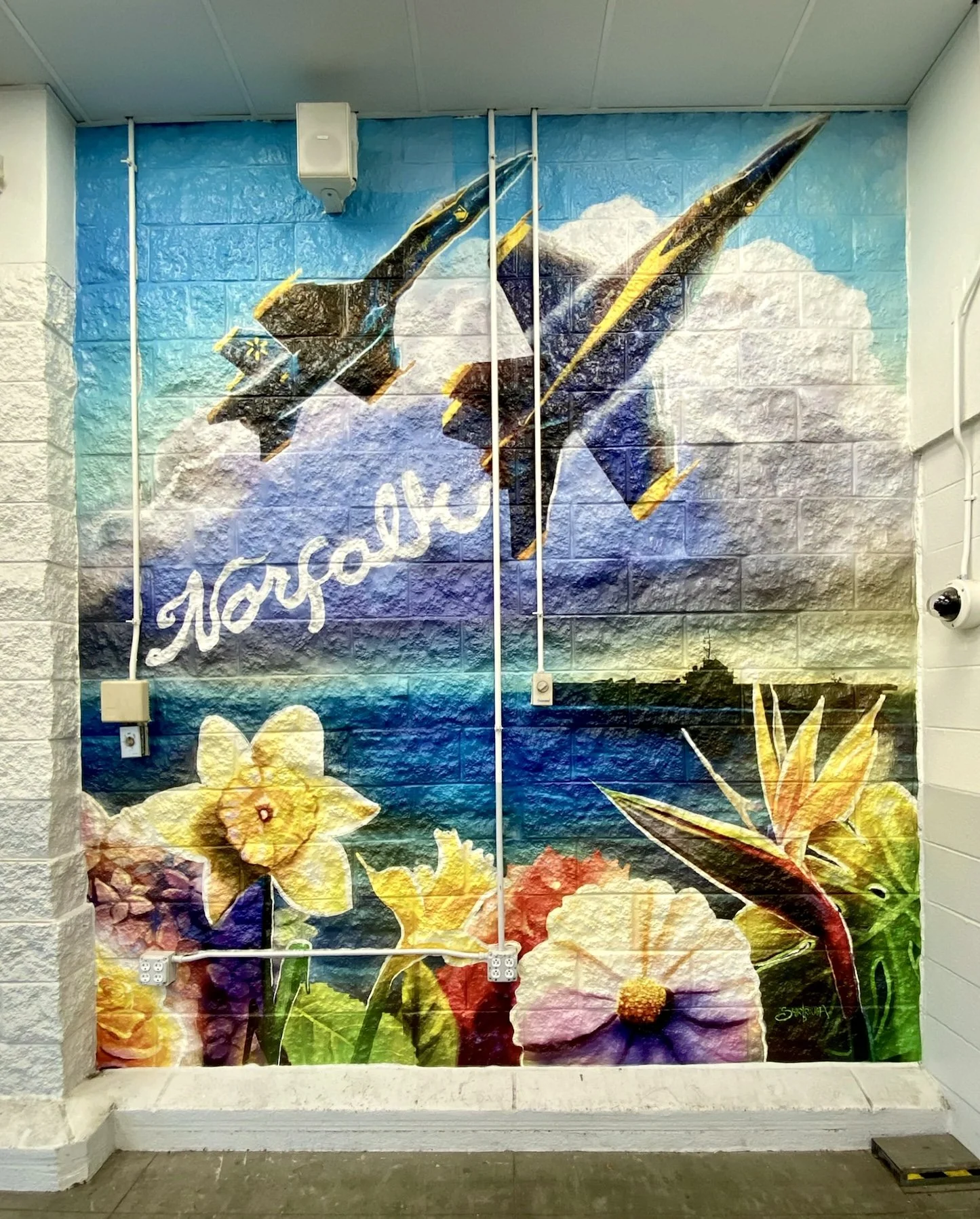 Norfolk Walmart Mural (2025) Norfolk, VA