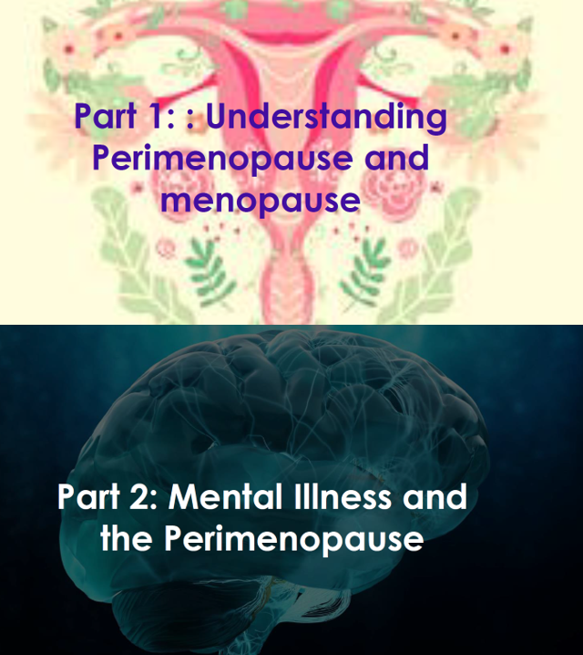 Perimenopause and Mental Health Training