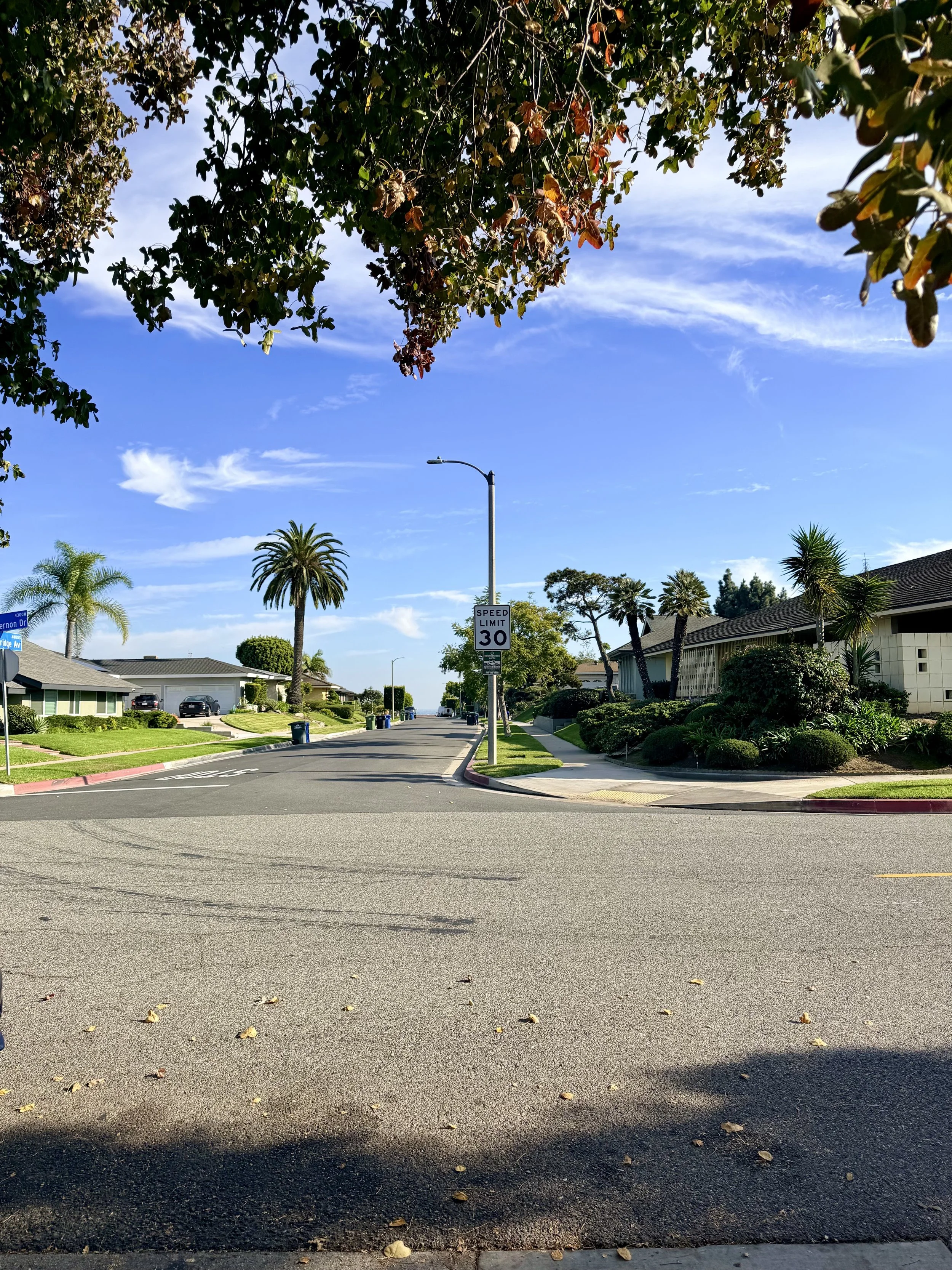 A suburban street with palm trees, houses, a speed limit sign of 30 mph, clear blue sky with a few clouds, and well-maintained lawns.