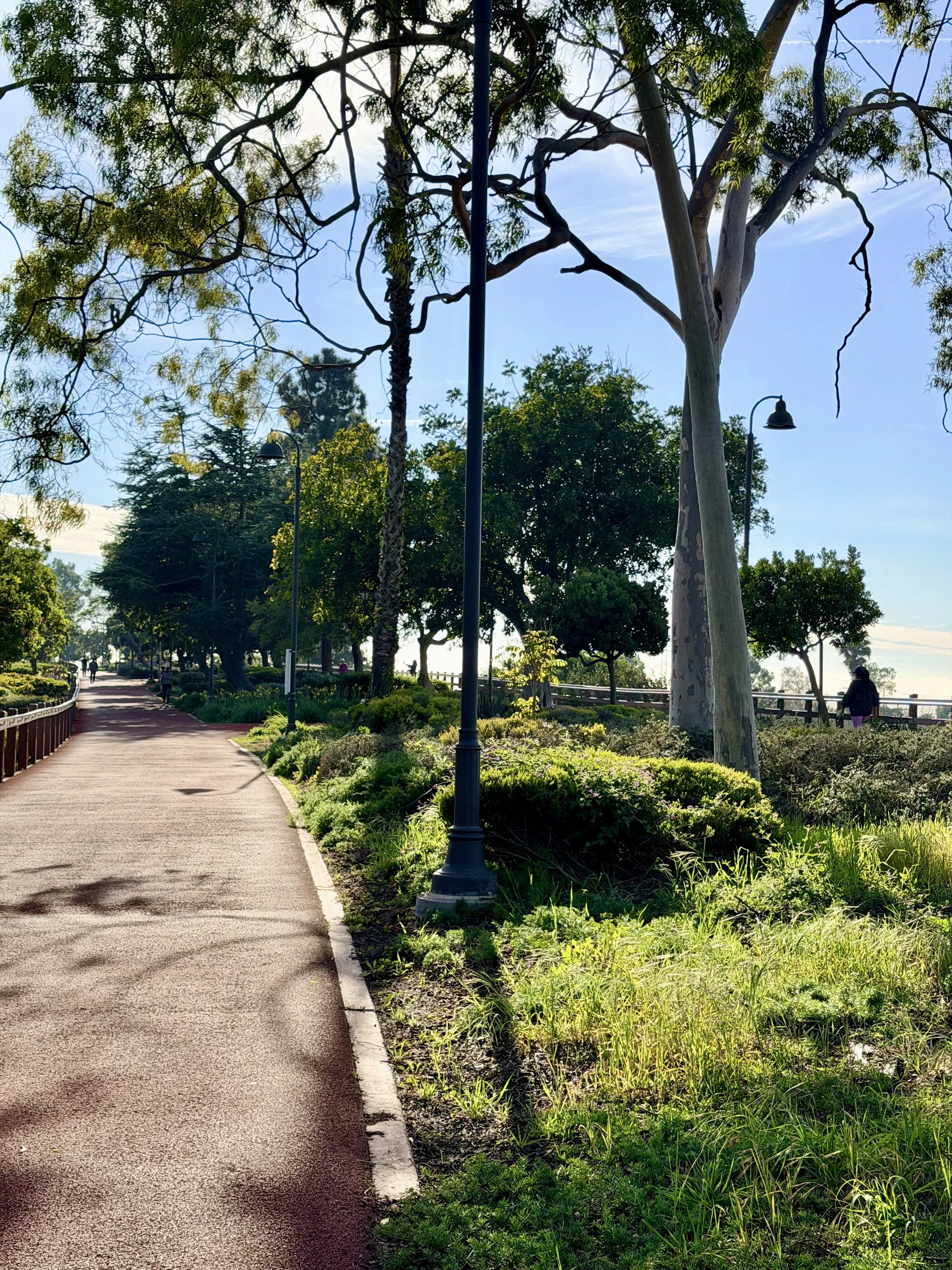 A paved walking path in a park with trees, bushes, and grass on the sides, black lamp posts lining the path, and a fence in the distance. The sky is clear and sunny.