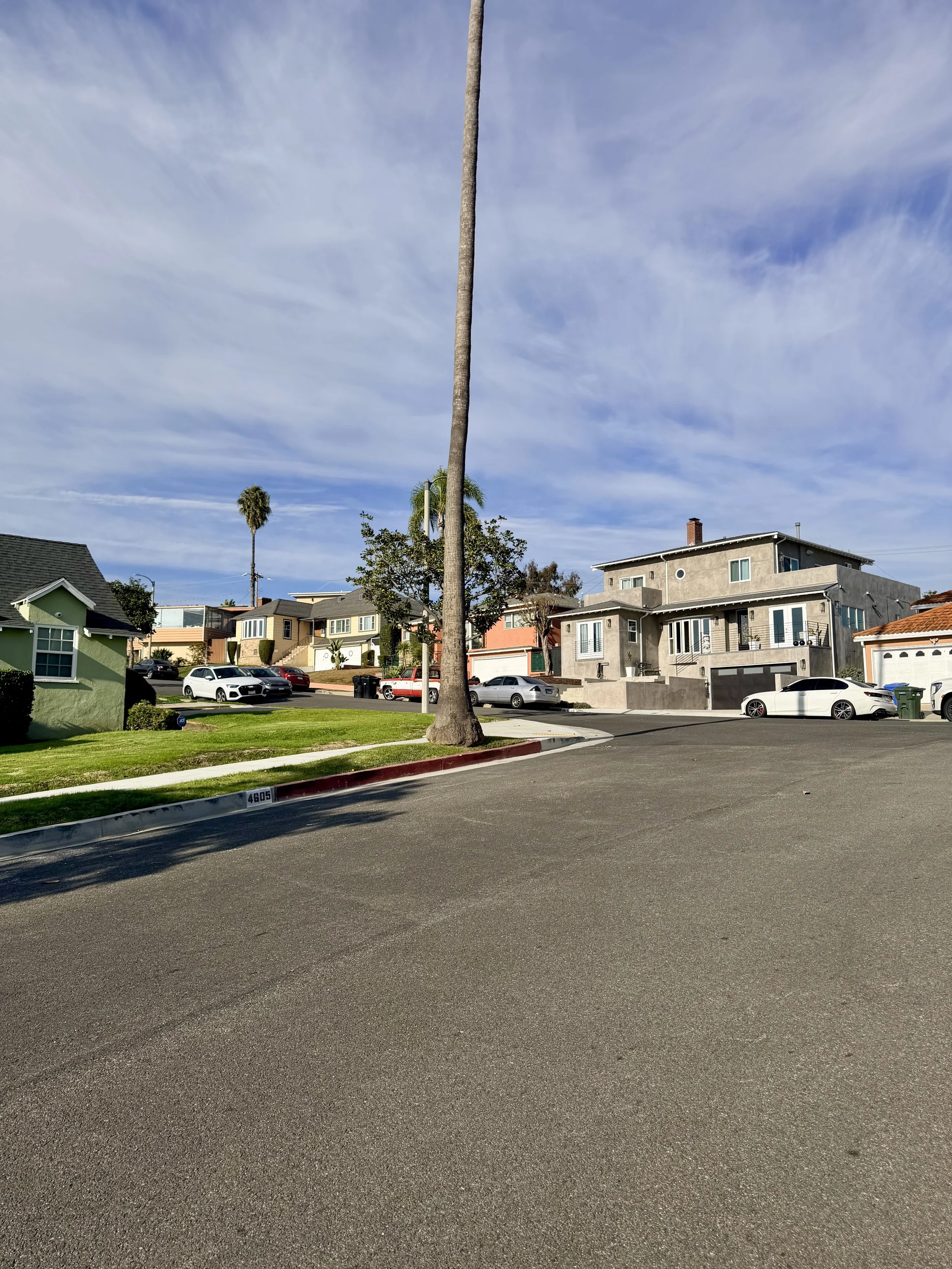 Residential neighborhood with houses, palm trees, parked cars, and a clear sky.