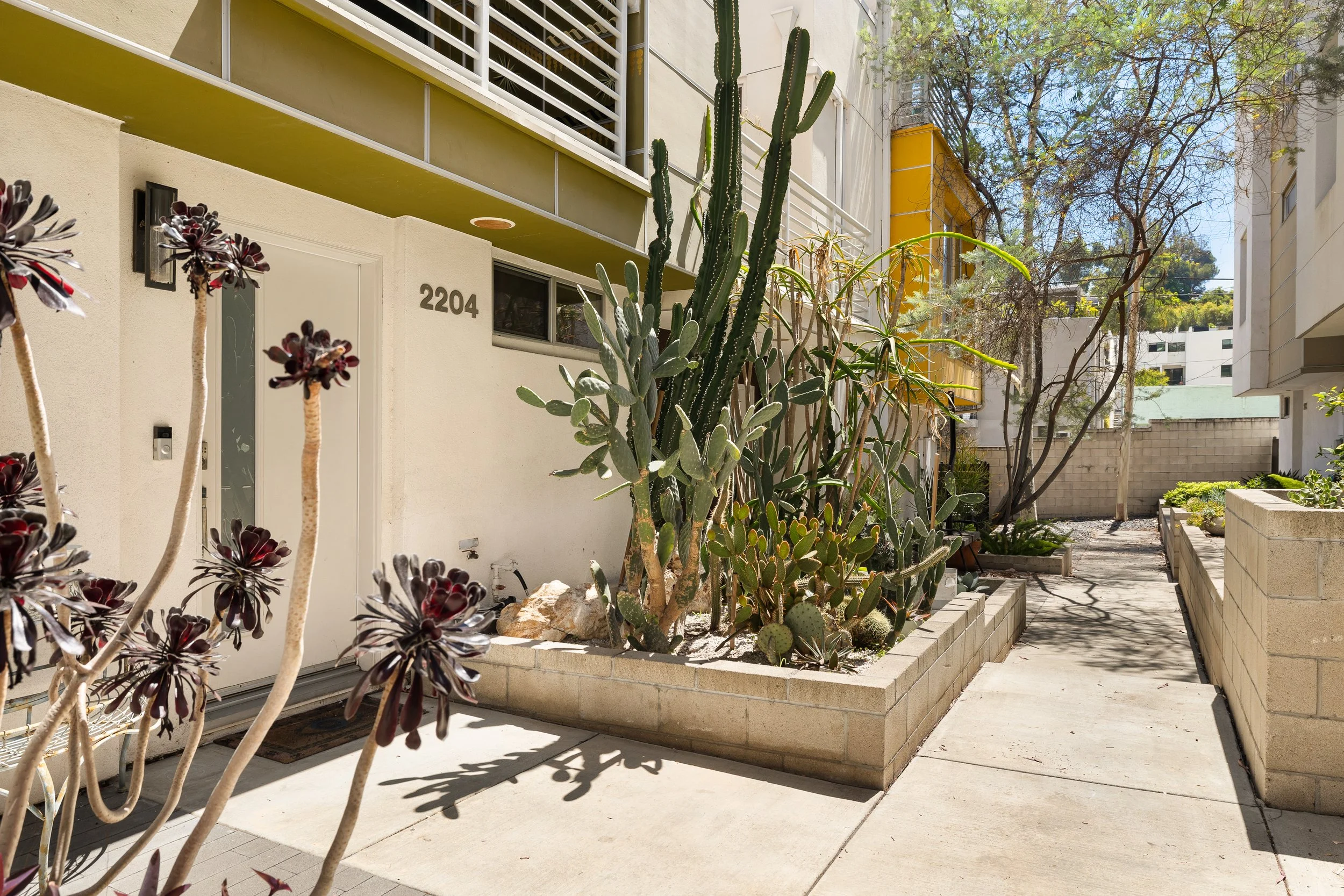 Street view of a modern apartment complex with plants, including a large cactus and other succulents, in a small landscaped yard. The building has balcony railings and the apartment number 2204 visible next to the door, with a concrete sidewalk and trees in the background.