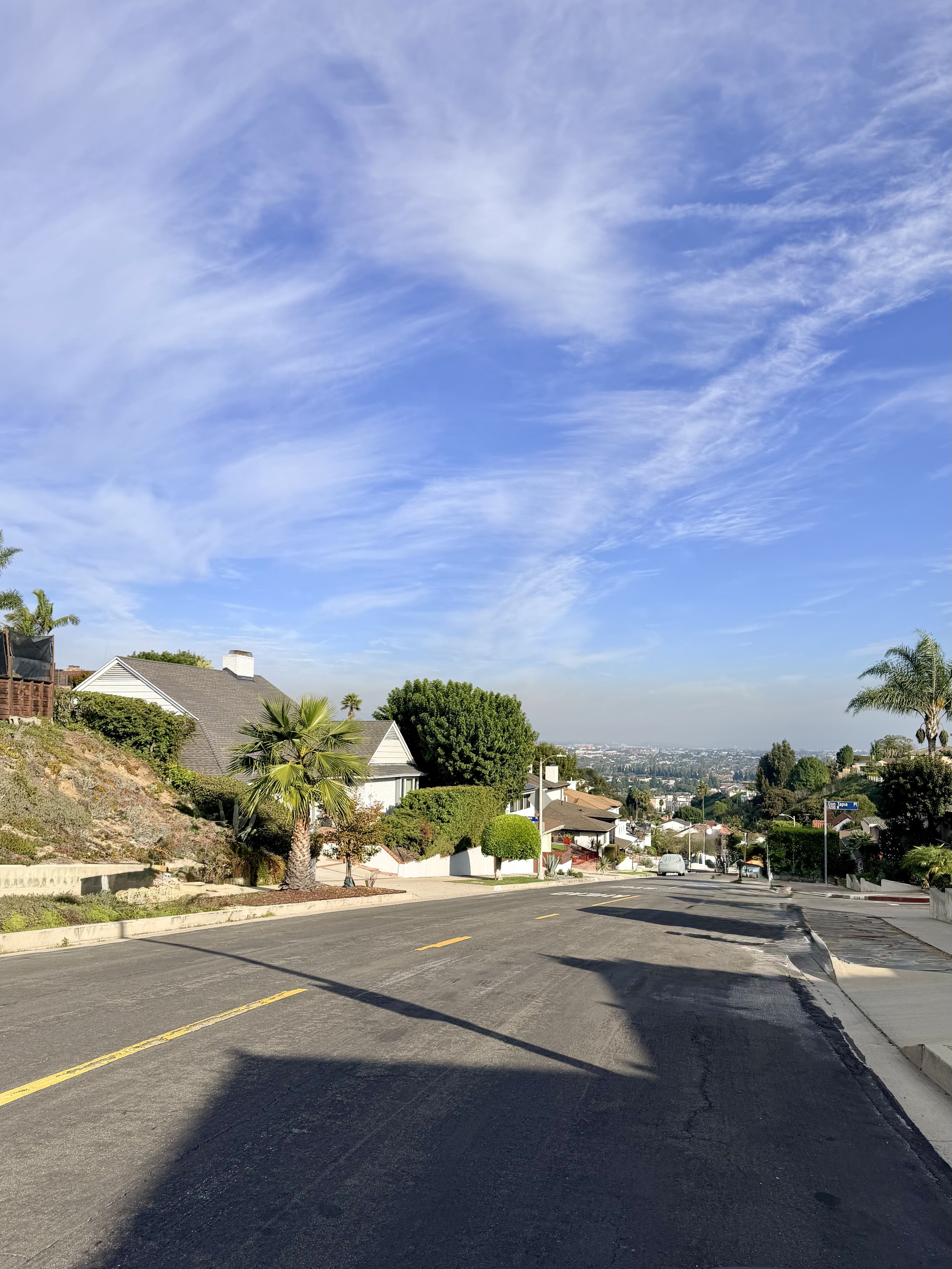 A residential street on a sunny day with houses, palm trees, and a clear sky with wispy clouds.