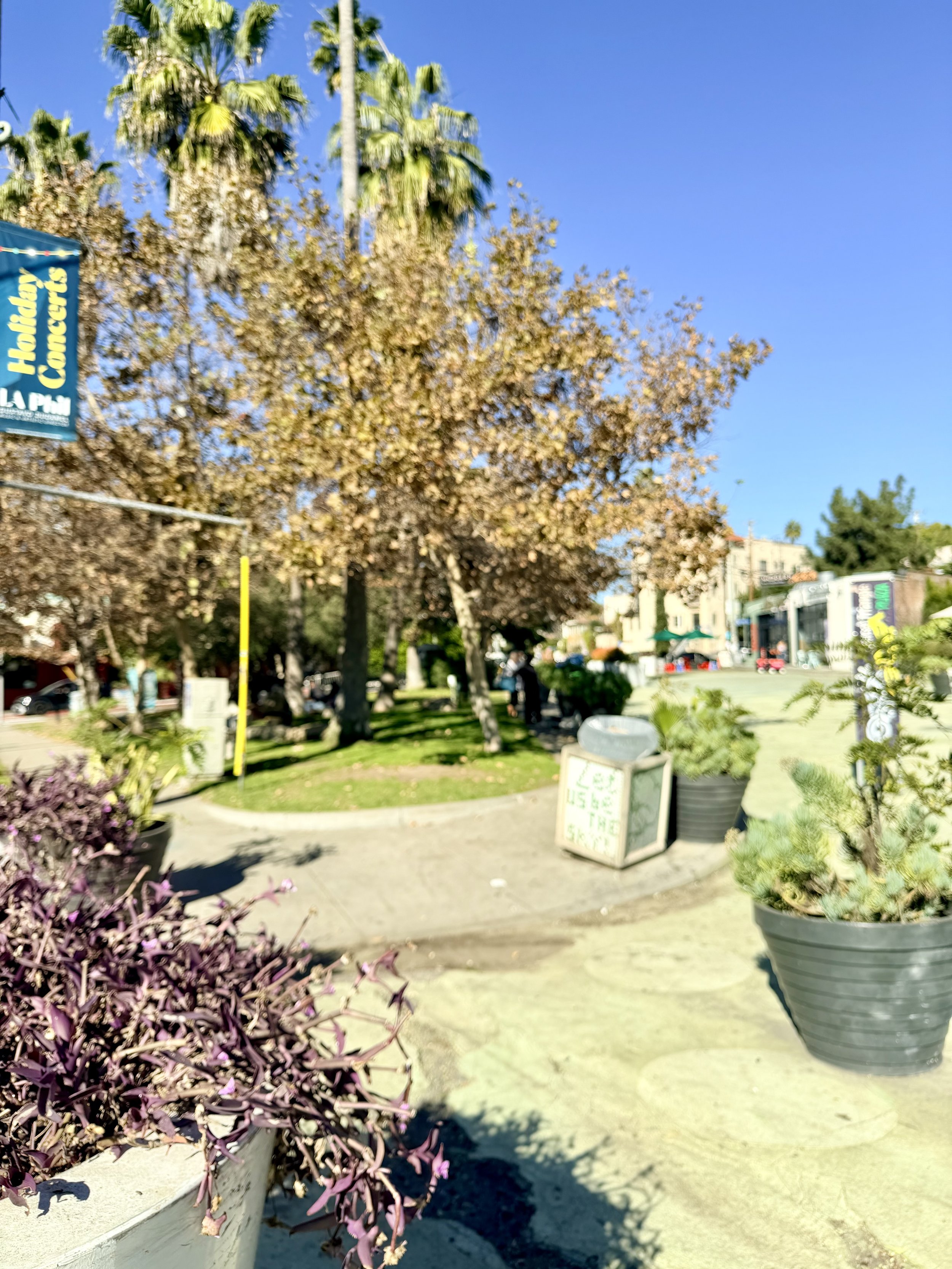 A sunny sidewalk in a park with trees, potted plants, and a sign, in a city area.