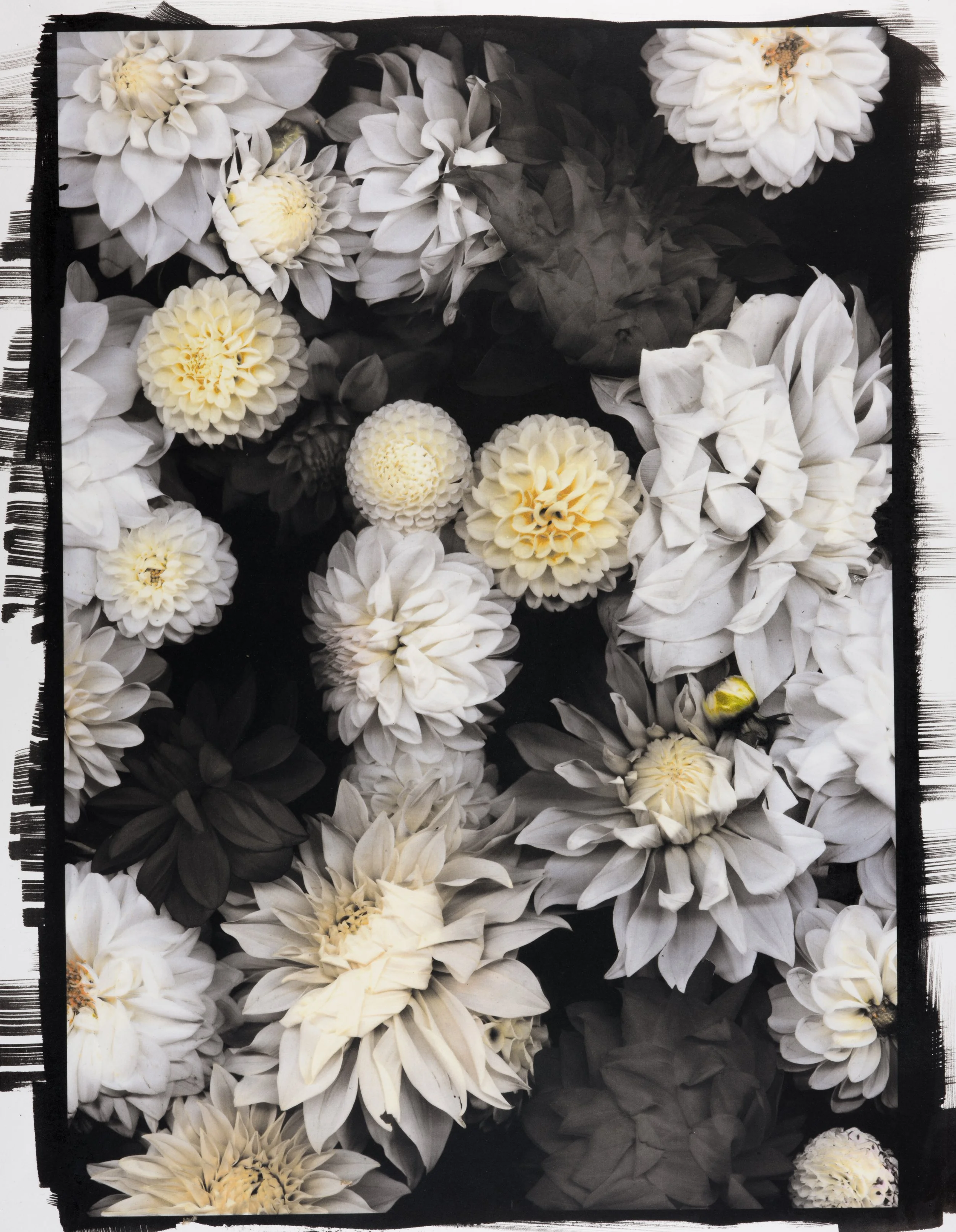 ©Sherri Nicole Miller, Misremembered, 2024