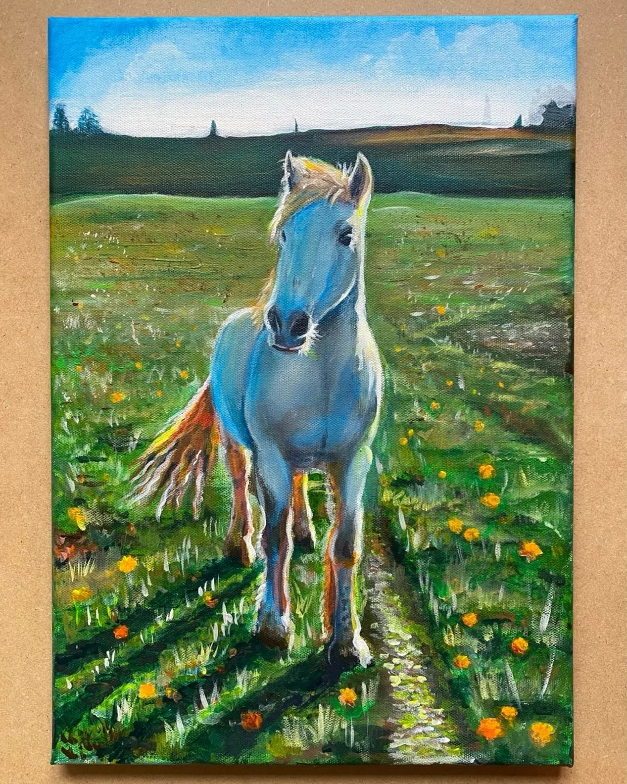 Star the distinguished gentleman ⭐️ A3 canvas. Commissioned as a birthday present. I learnt a lot painting this one! 🐴 

#petportrait #petpainting #horsepainting