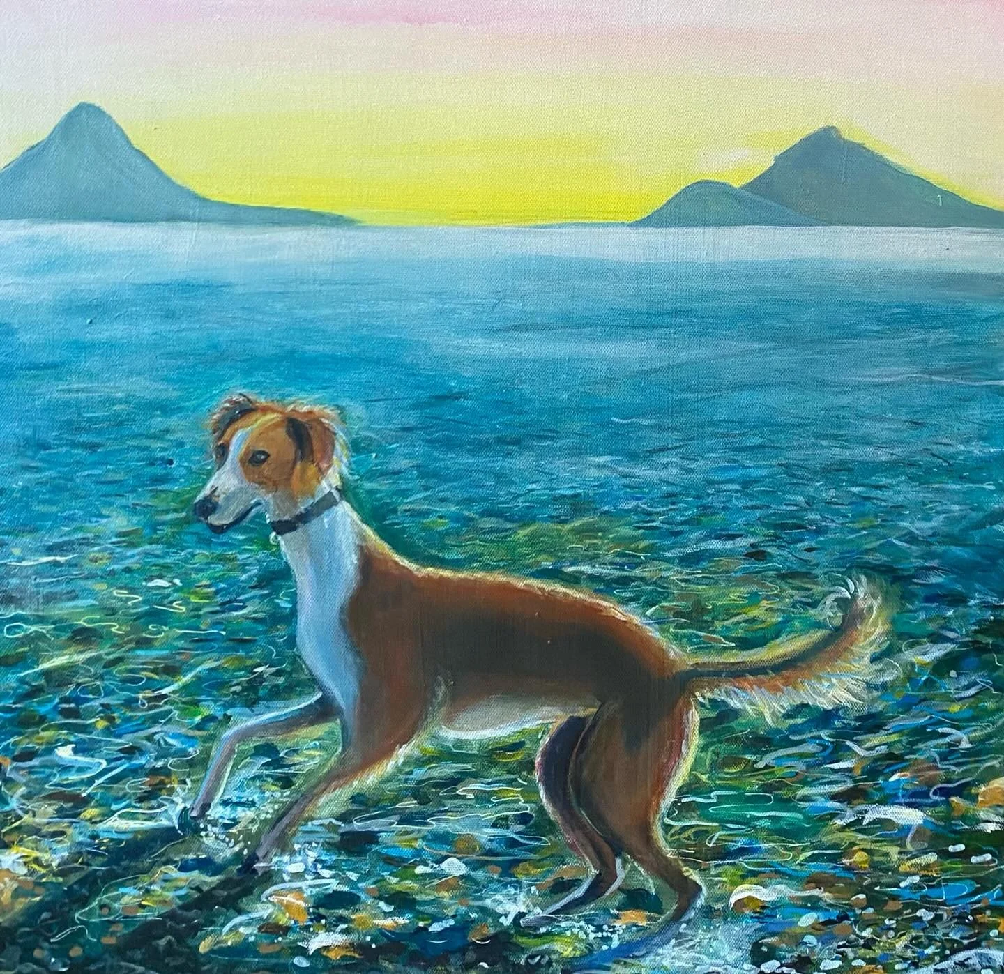 VIMTO ❤️ - I had the pleasure of knowing Vimto since his puppyhood - he was the loveliest lad and lived the best life, spending a lot of time frolicking in beautiful Scottish waters ✨🌊Painted as a gift to my very old friends Sancha and Hamish who sa