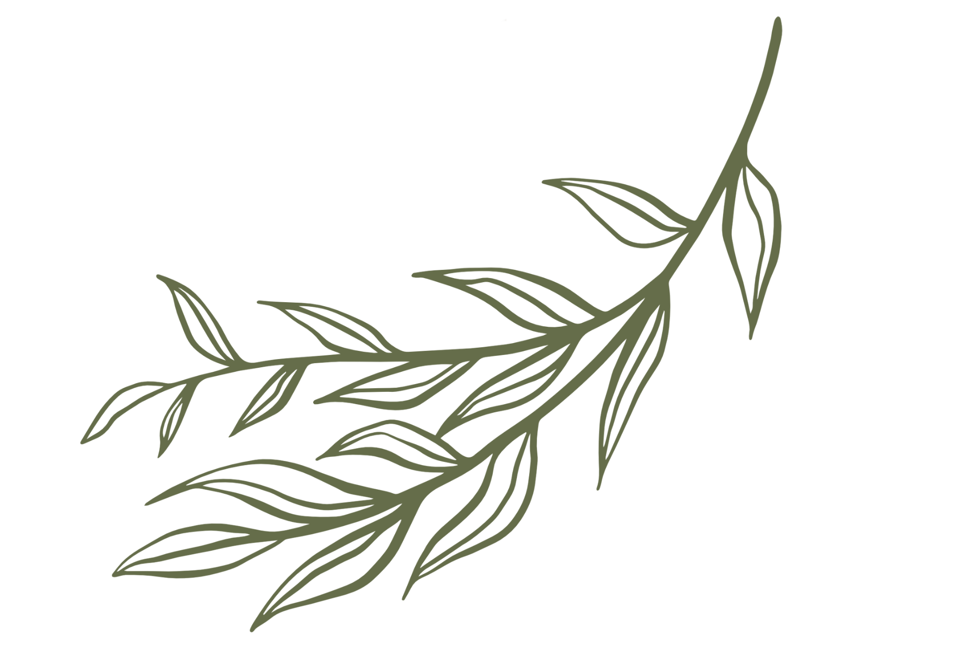 An outline leaf design