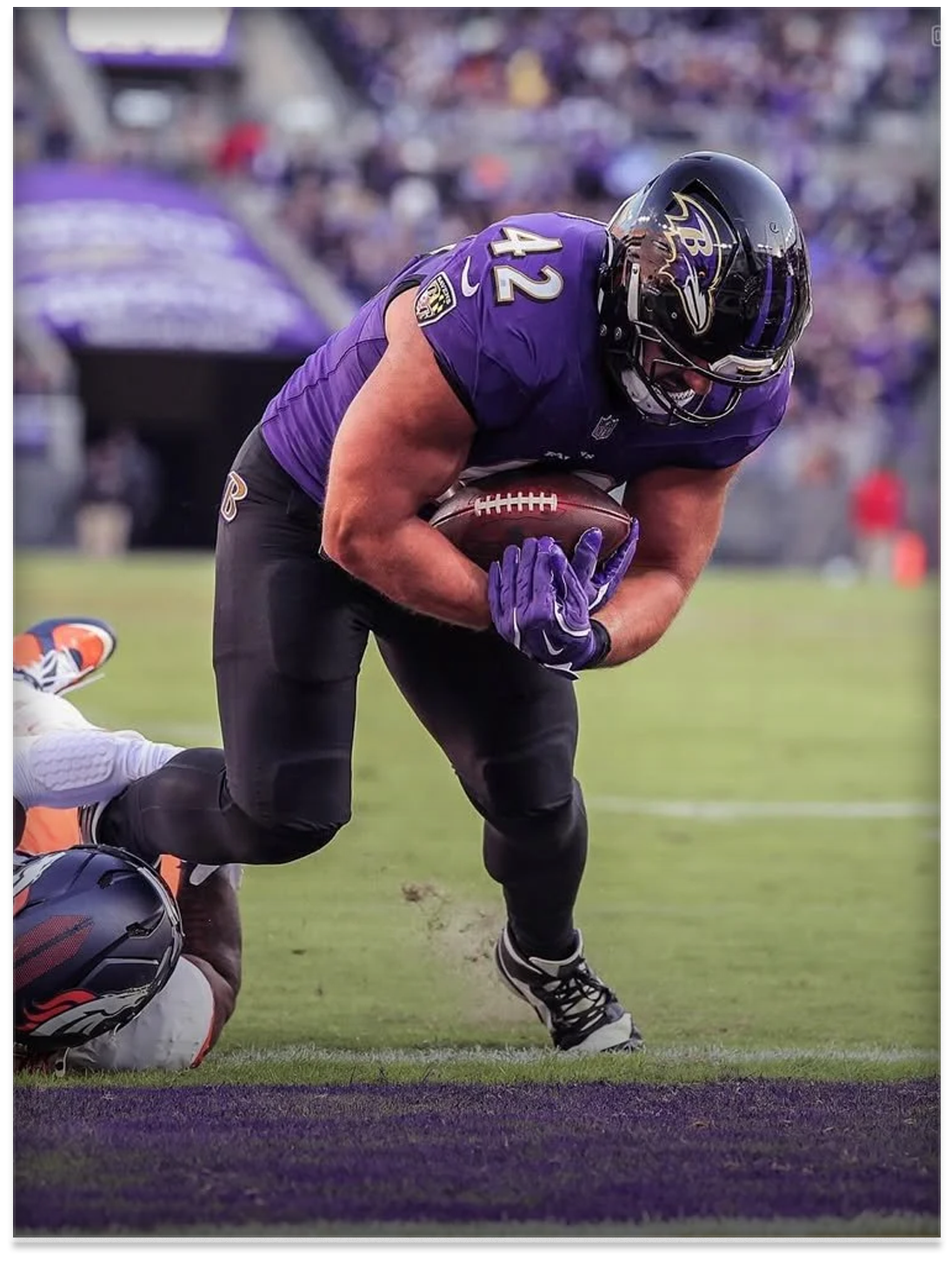  Pat Ricard, Baltimore Ravens  
 Photo: Baltimore Ravens 