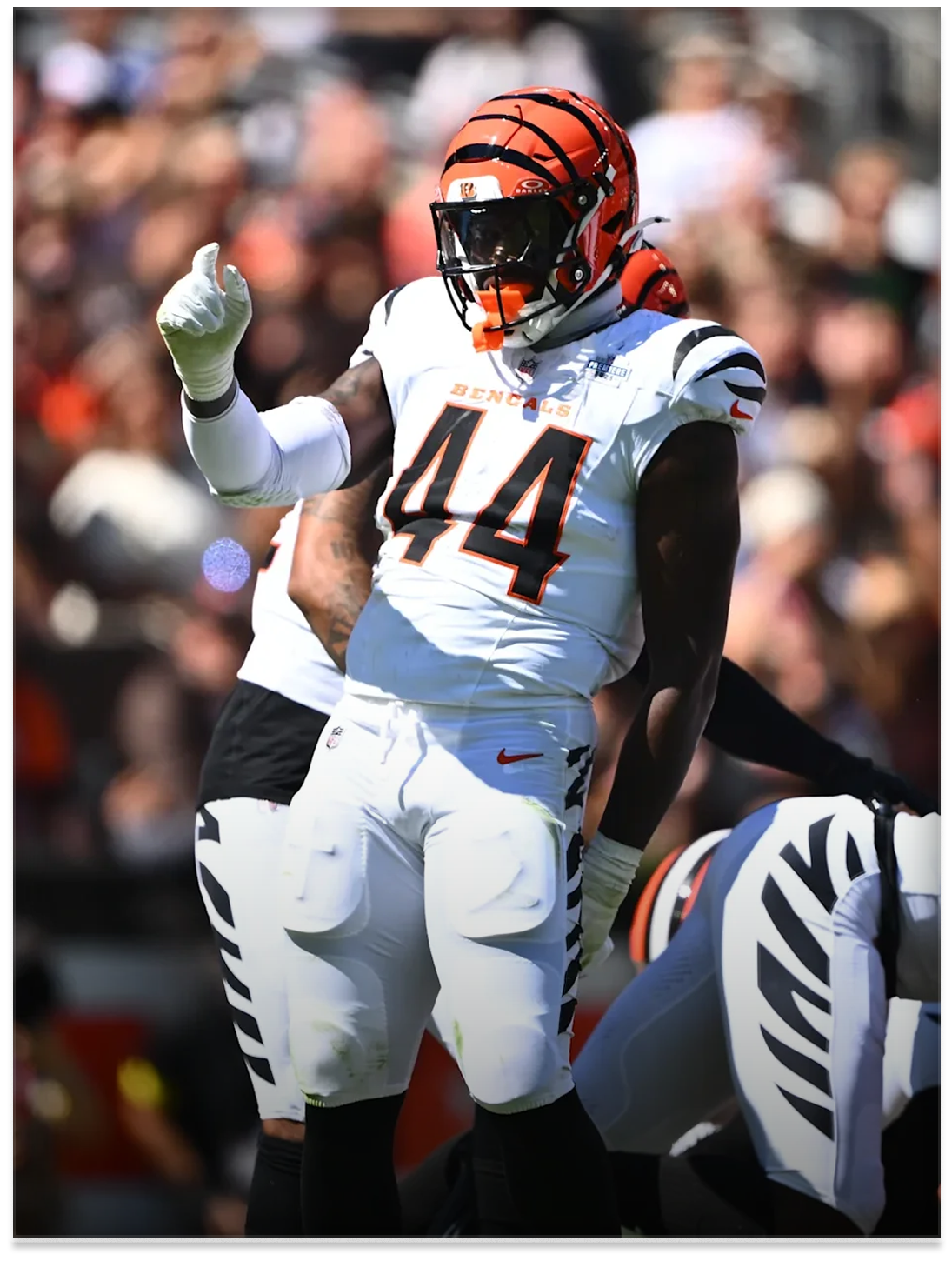  Demetrius Knight Jr., Cincinnati Bengals  
 Photo: Cincinnati Bengals 