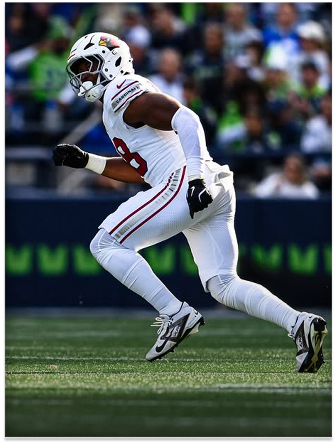  Jared Bartlett, Arizona Cardinals  
 Photo: Arizona Cardinals