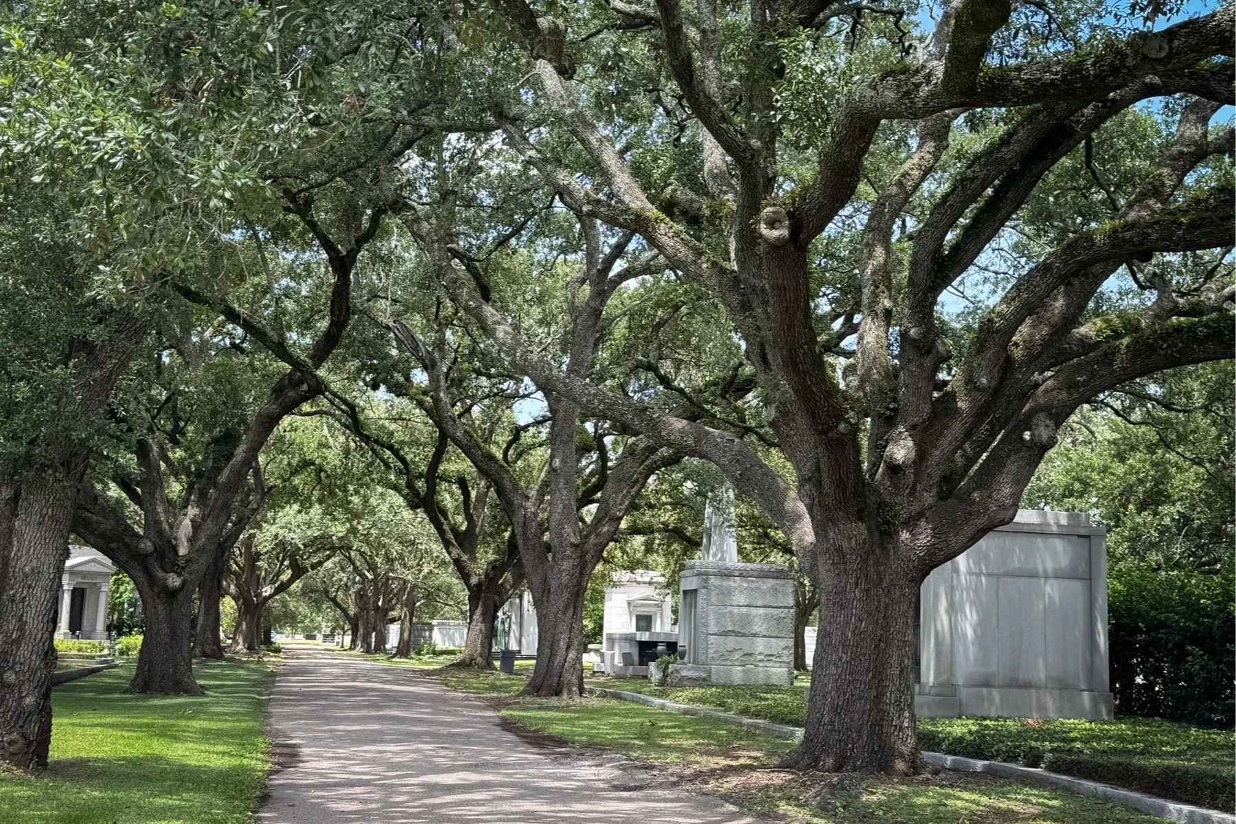 Oak-lined roadway winding through the historic tombs and mausoleums of Metairie Cemetery in New Orleans.