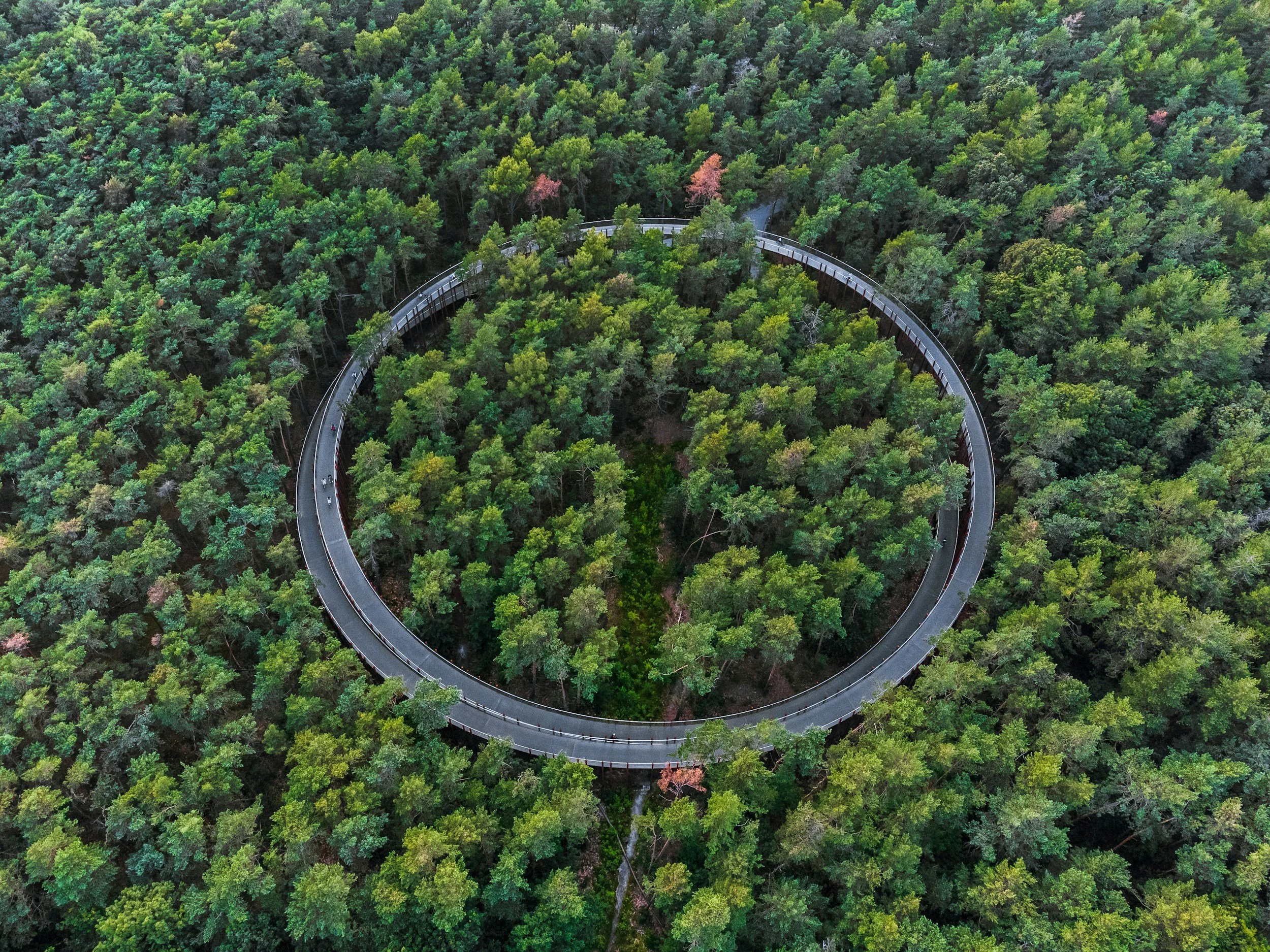 Aerial view of a circular elevated roadway surrounded by dense forest, representing Gray Oak’s integrated and connected broker platform
