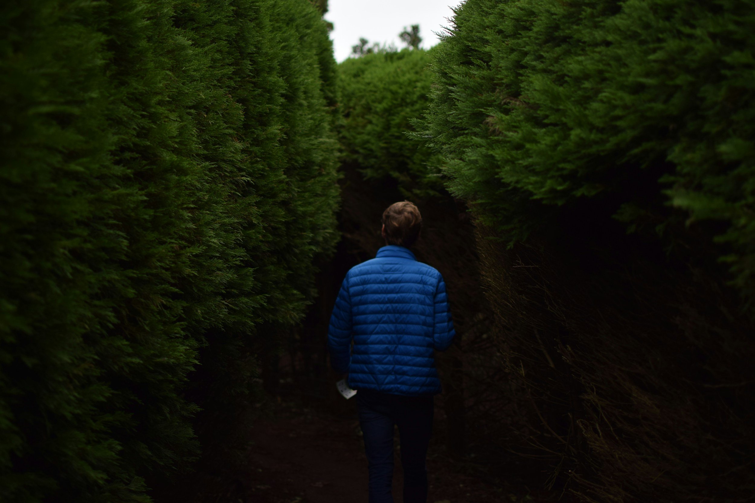 A person walking through tall green hedges, symbolizing navigating complex alternative investment landscapes with expert guidance.