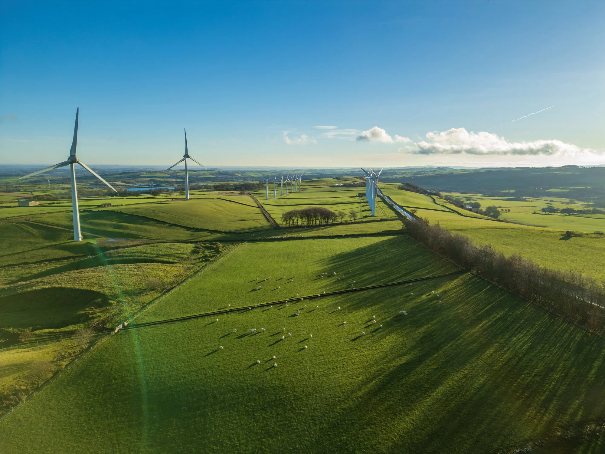 Wide landscape of wind turbines on rolling green hills, representing sustainable and impact-focused industries.