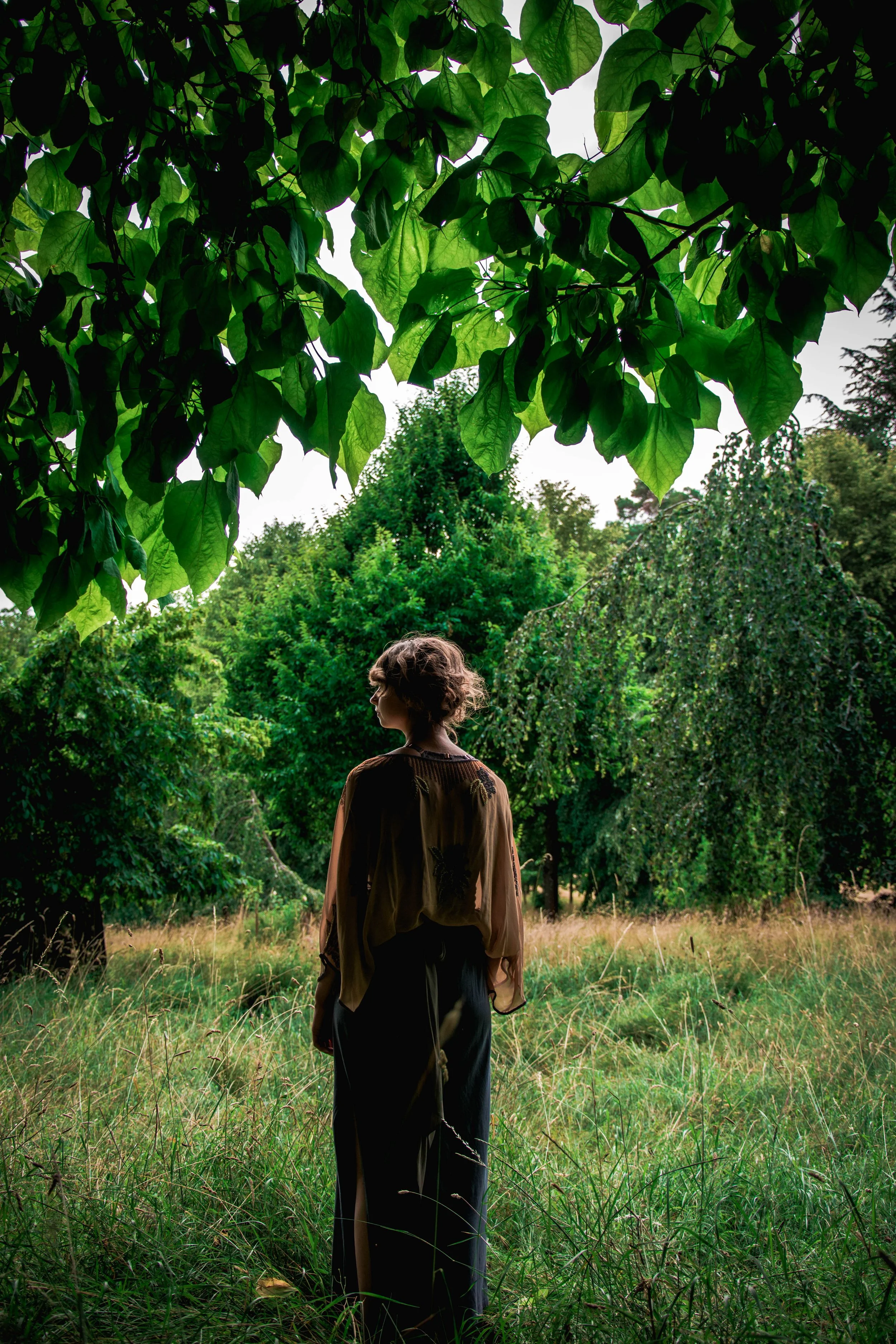 Rosie Caldecott stands in a grassy field surrounded by trees, viewed from behind with foliage overhead.