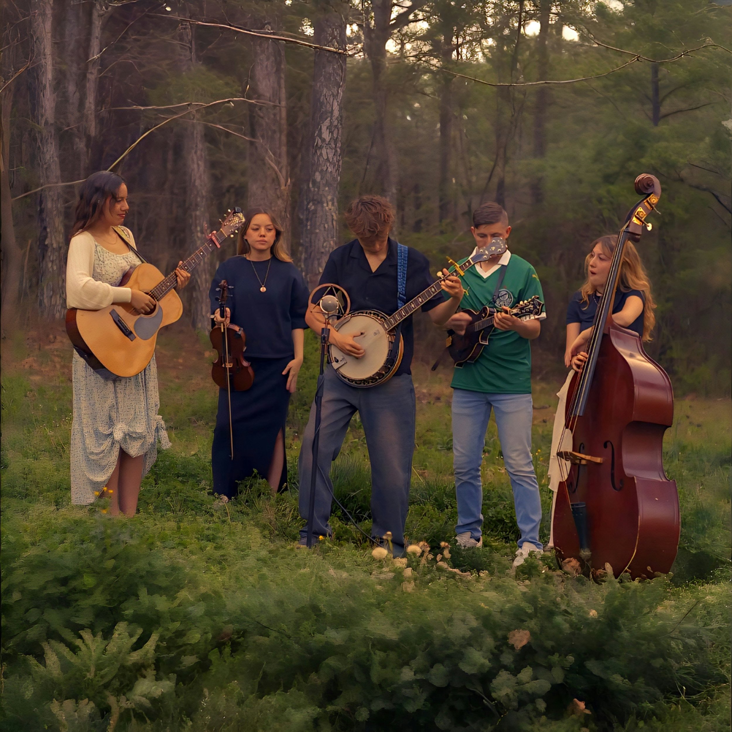 Grounded Media - Sessions - musicians in a forest playing together