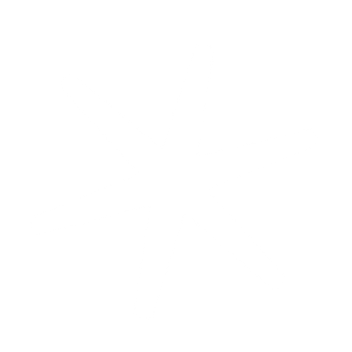 White star-like shape on black background.