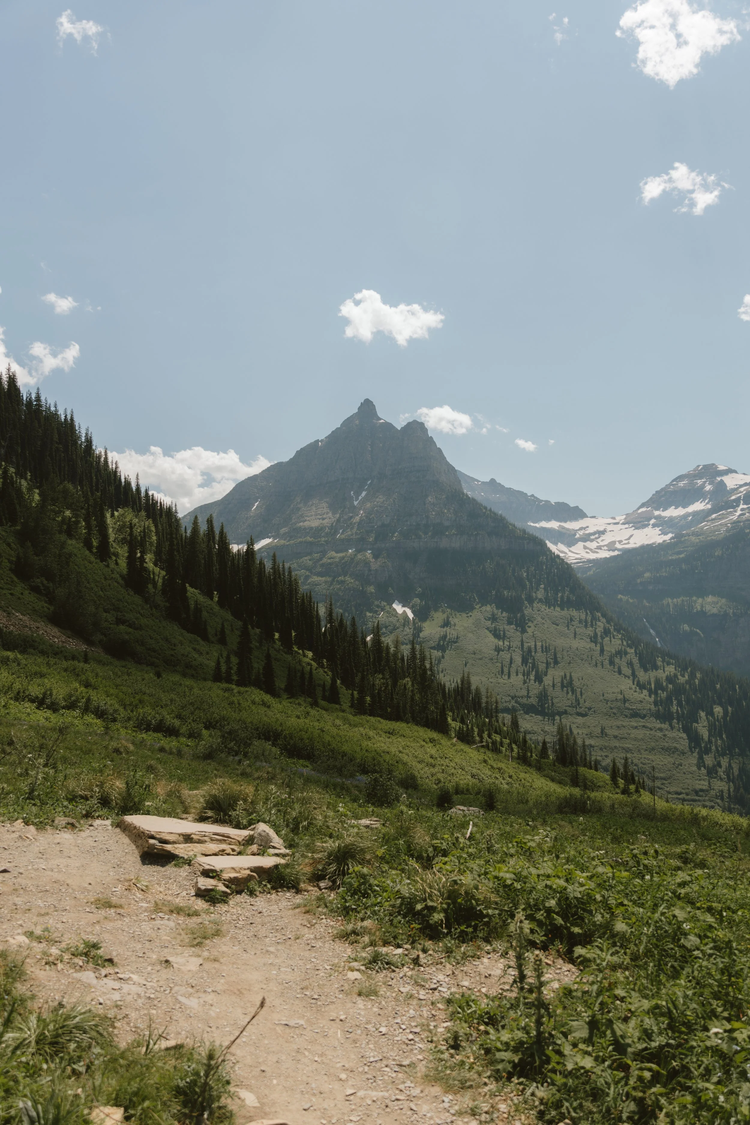 Scenic mountain landscape with a dirt trail in foreground, lush green trees on slopes, and high peaks with some patches of snow, under a bright blue sky with scattered clouds.