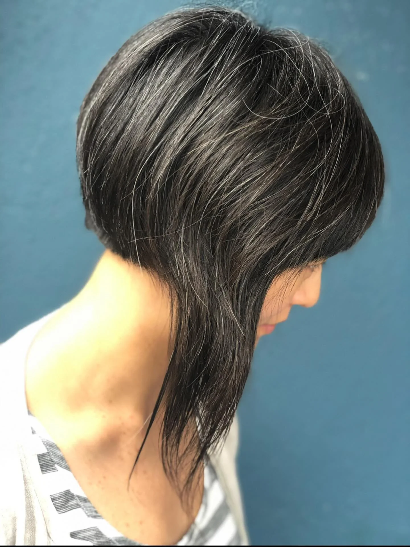 One of my favorite beauties. She moved away, but I&rsquo;ll never forget seeing this haircut in motion during her violin concert years ago. The silver shimmered like tinsel under the stage lights. ✨🎻