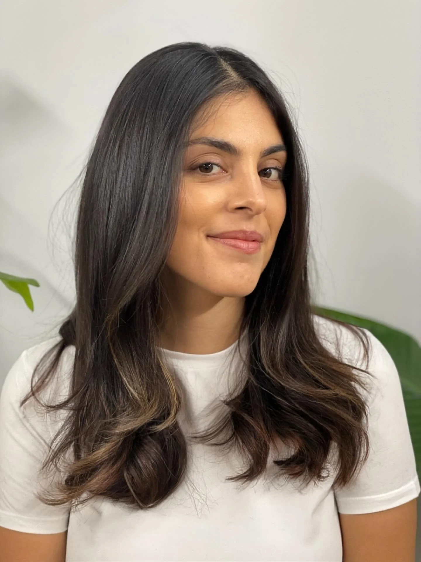 Fresh cut. Highlights from a year ago still looking good!