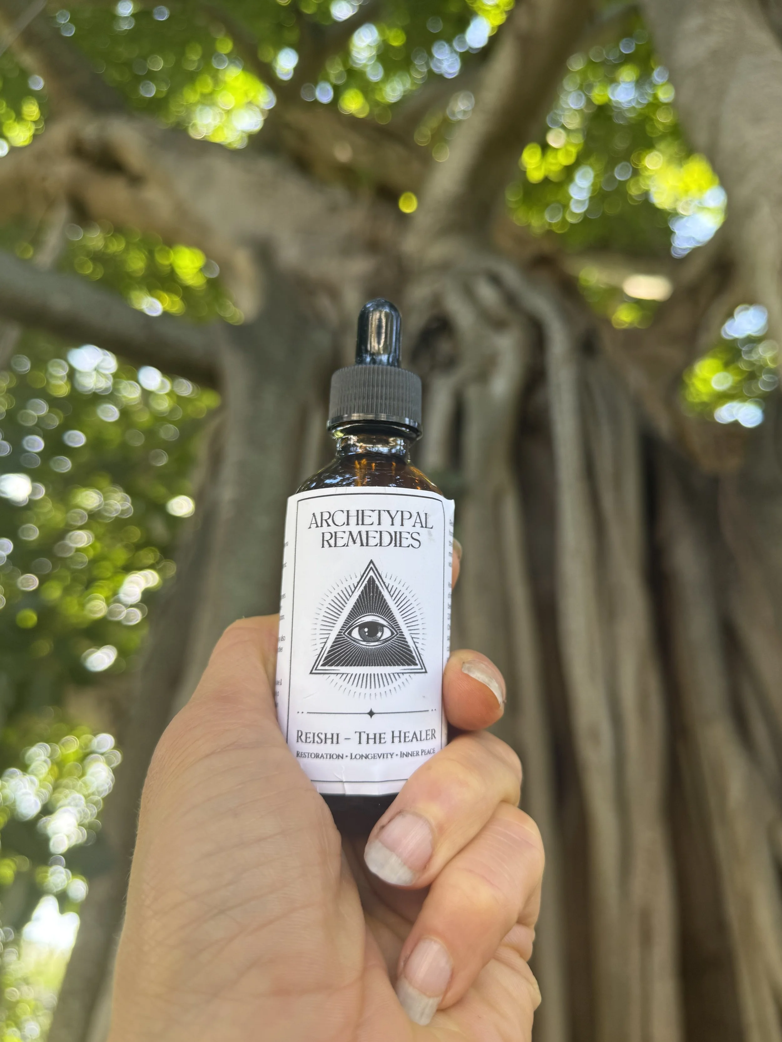 Reishi Mushroom Tincture (The Healer)