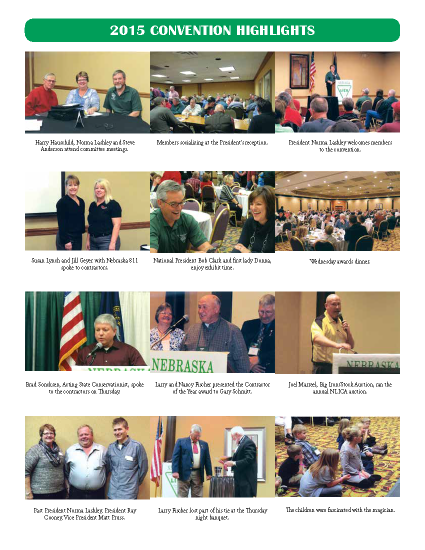 NLICA NEWS 2015_Page_08.png