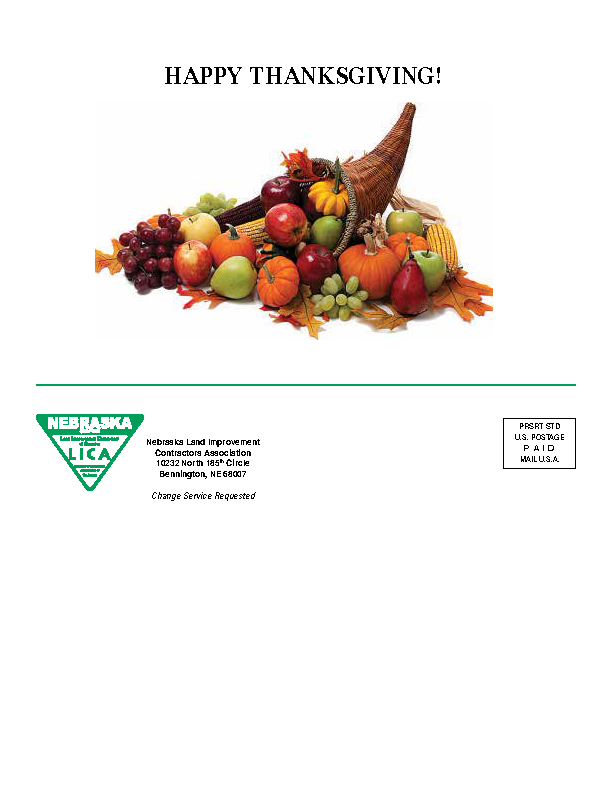 NLICA NEWS 2015_Page_46.png