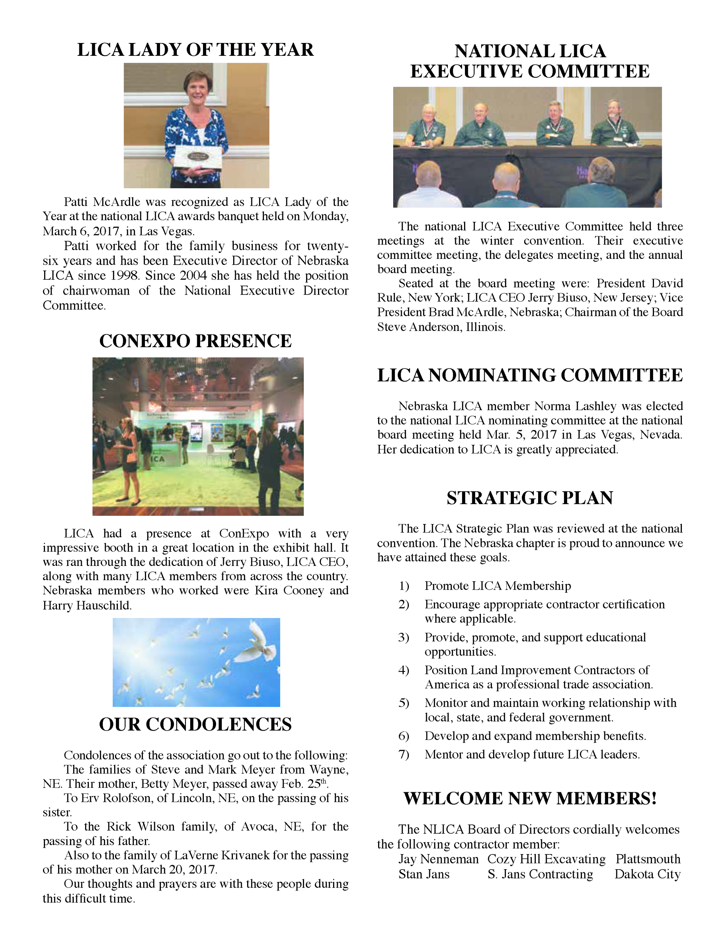 NLICA NEWS 2017_Page_11.png