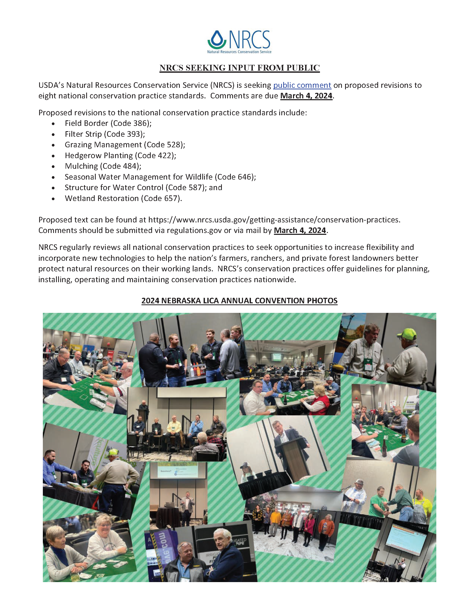 NLICA NEWS 2024_Page_08.png