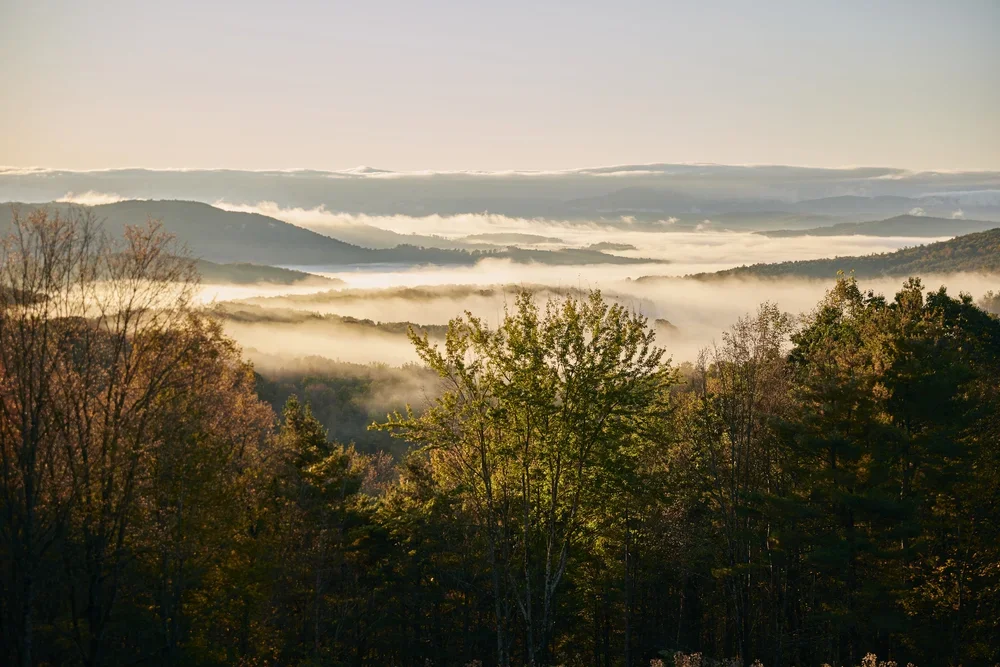 Landscape view of rolling mountains and a forest with fog in the valleys at sunrise or sunset.