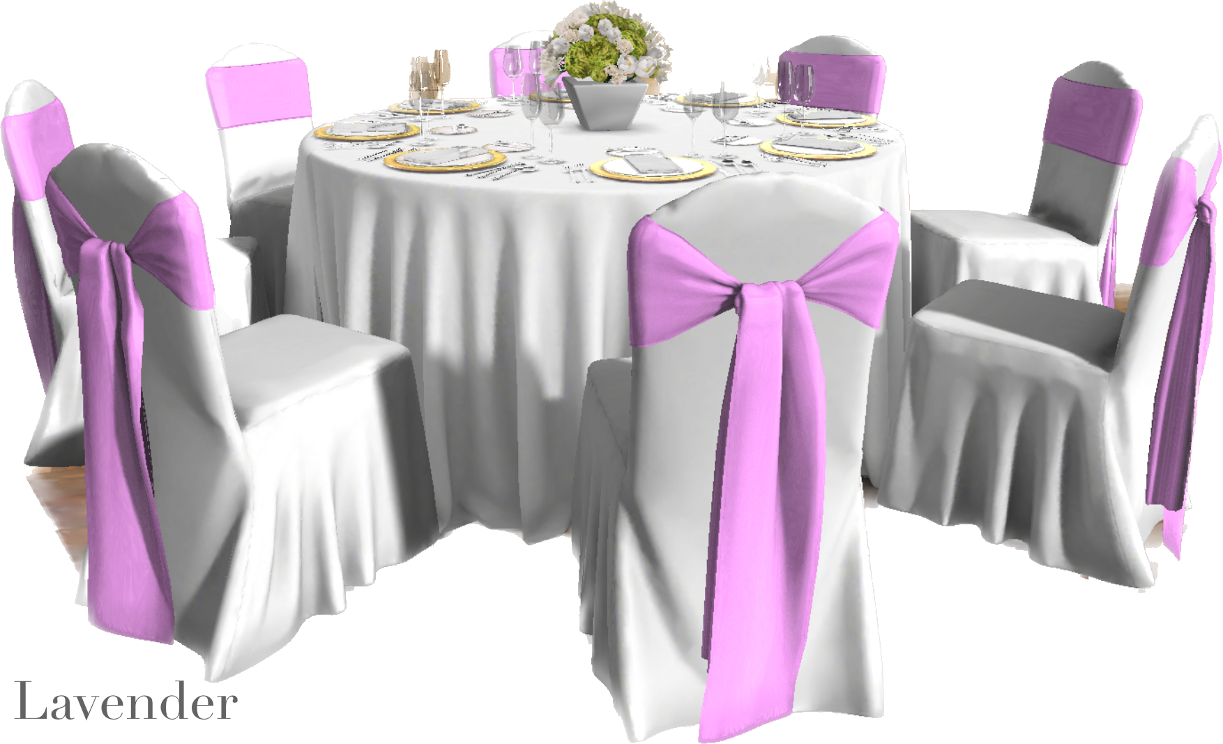 IMG_2887 Background Removed.png