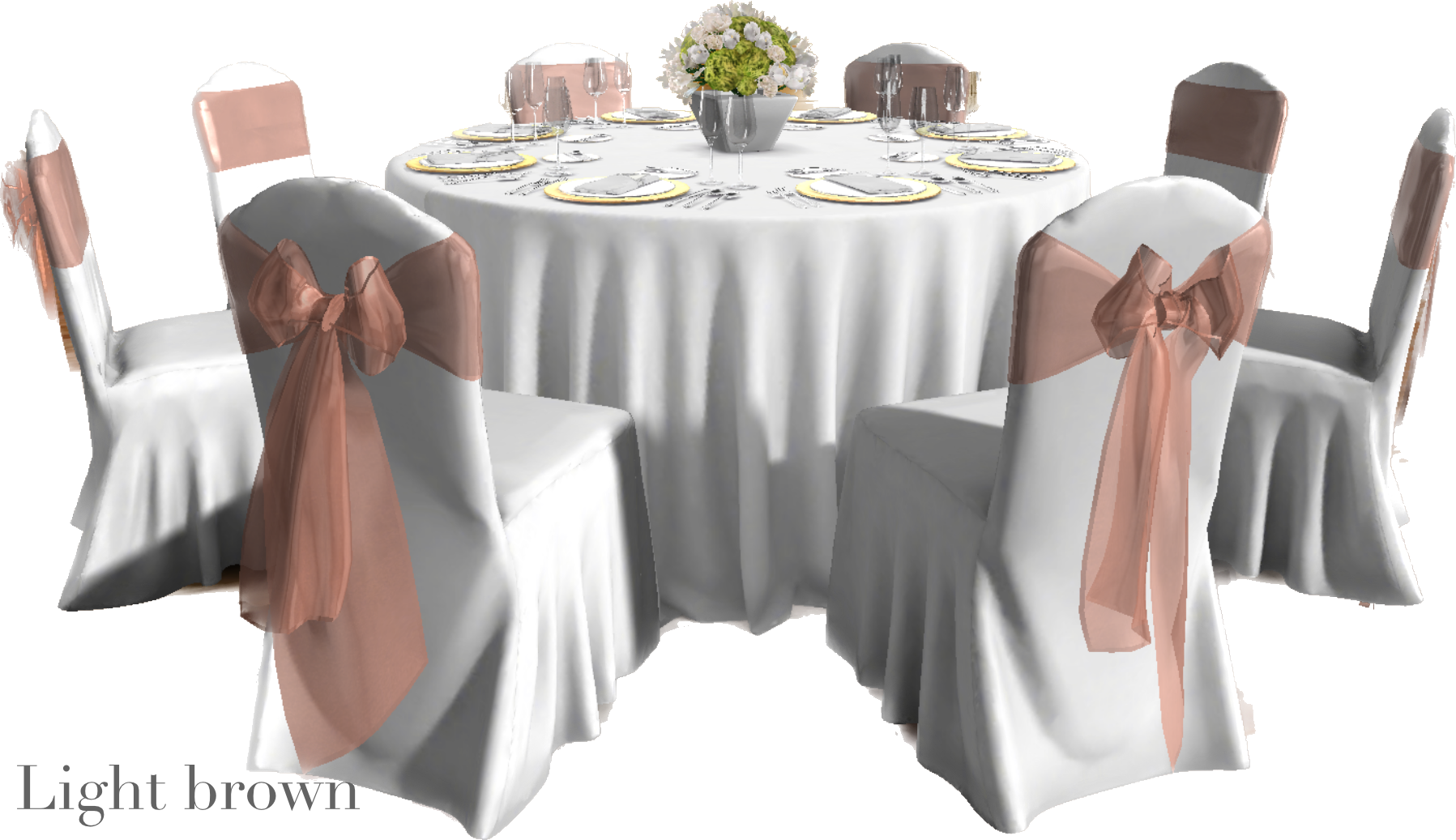 IMG_2881 Background Removed.png