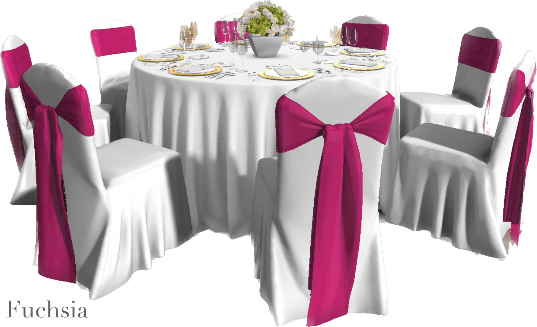 IMG_2888 Background Removed.png