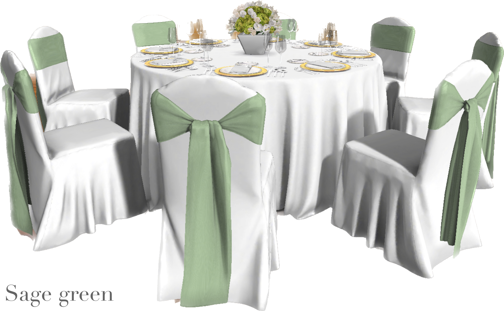 IMG_2892 Background Removed.png