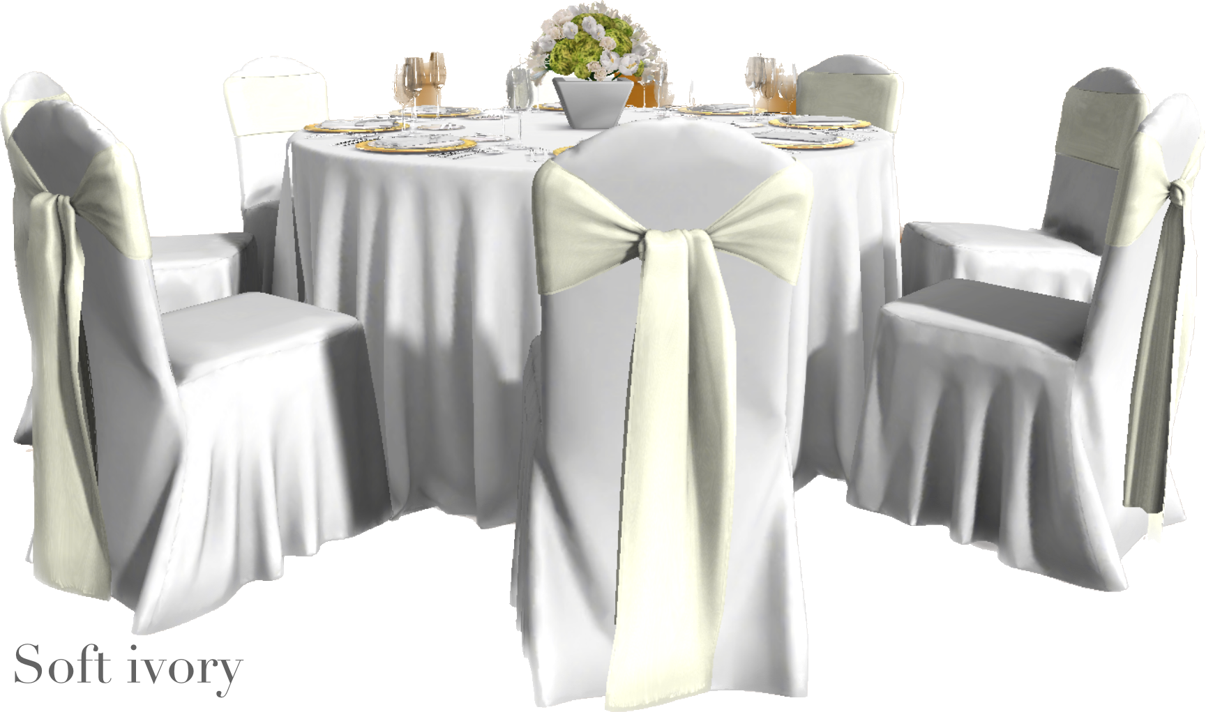 IMG_2884 Background Removed.png