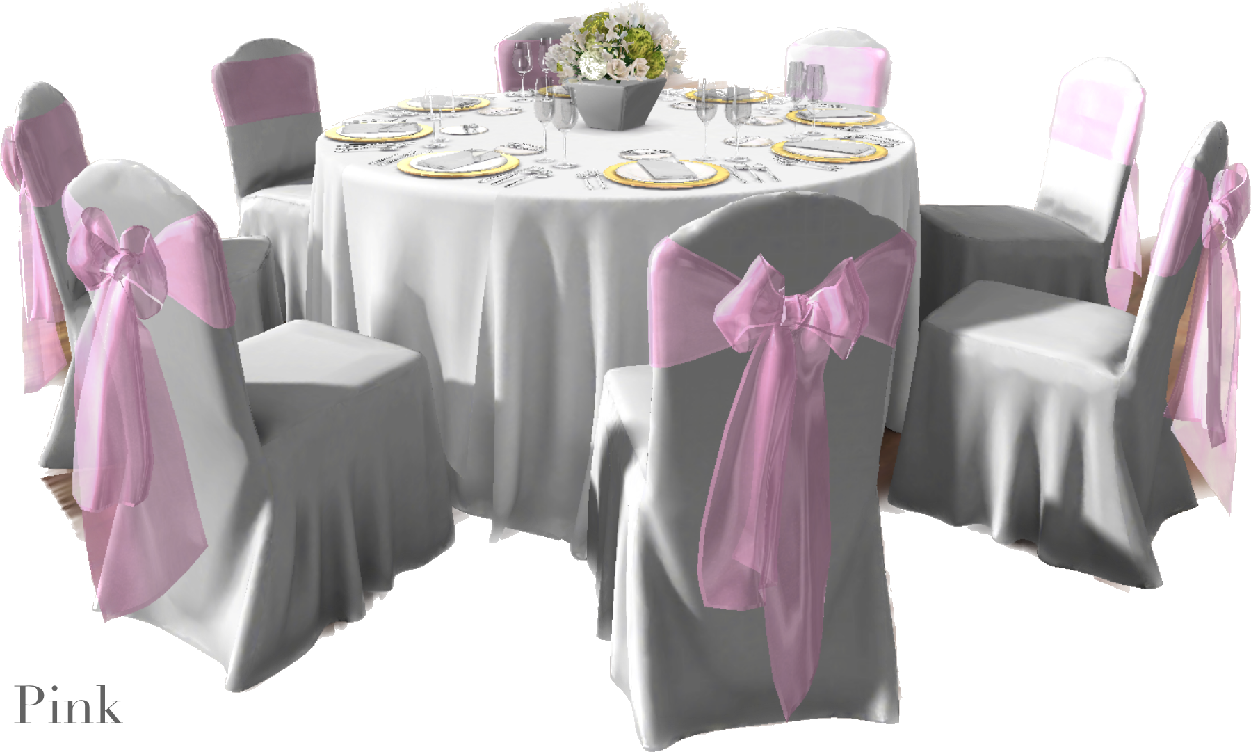 IMG_2867 Background Removed.png