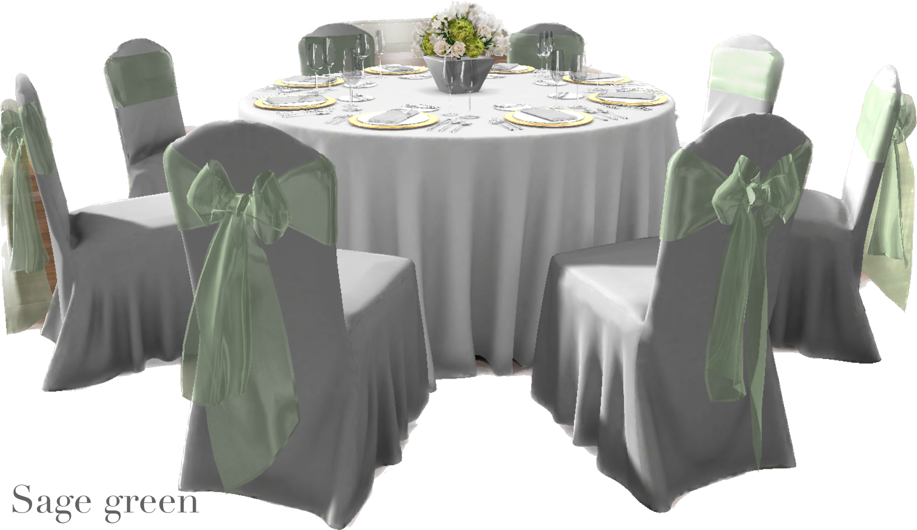 IMG_2869 Background Removed.png